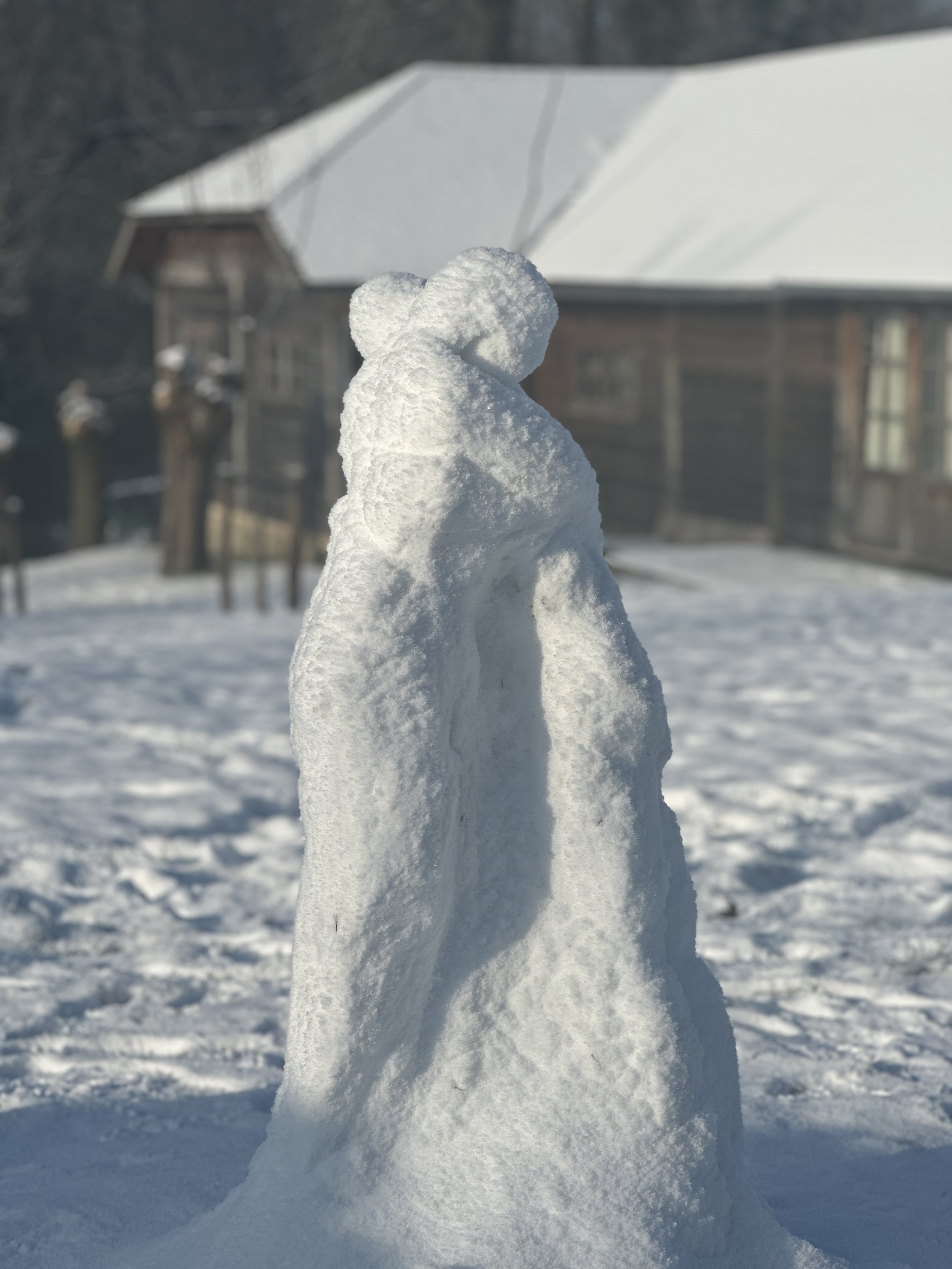  This winter (2026), when it was so cold and snowy, I did what I love to do: seize the moment.  As a child one of my favorite stories was Snigourka the snow child. A Russian tale about an older childless couple that longed so much for a child that th