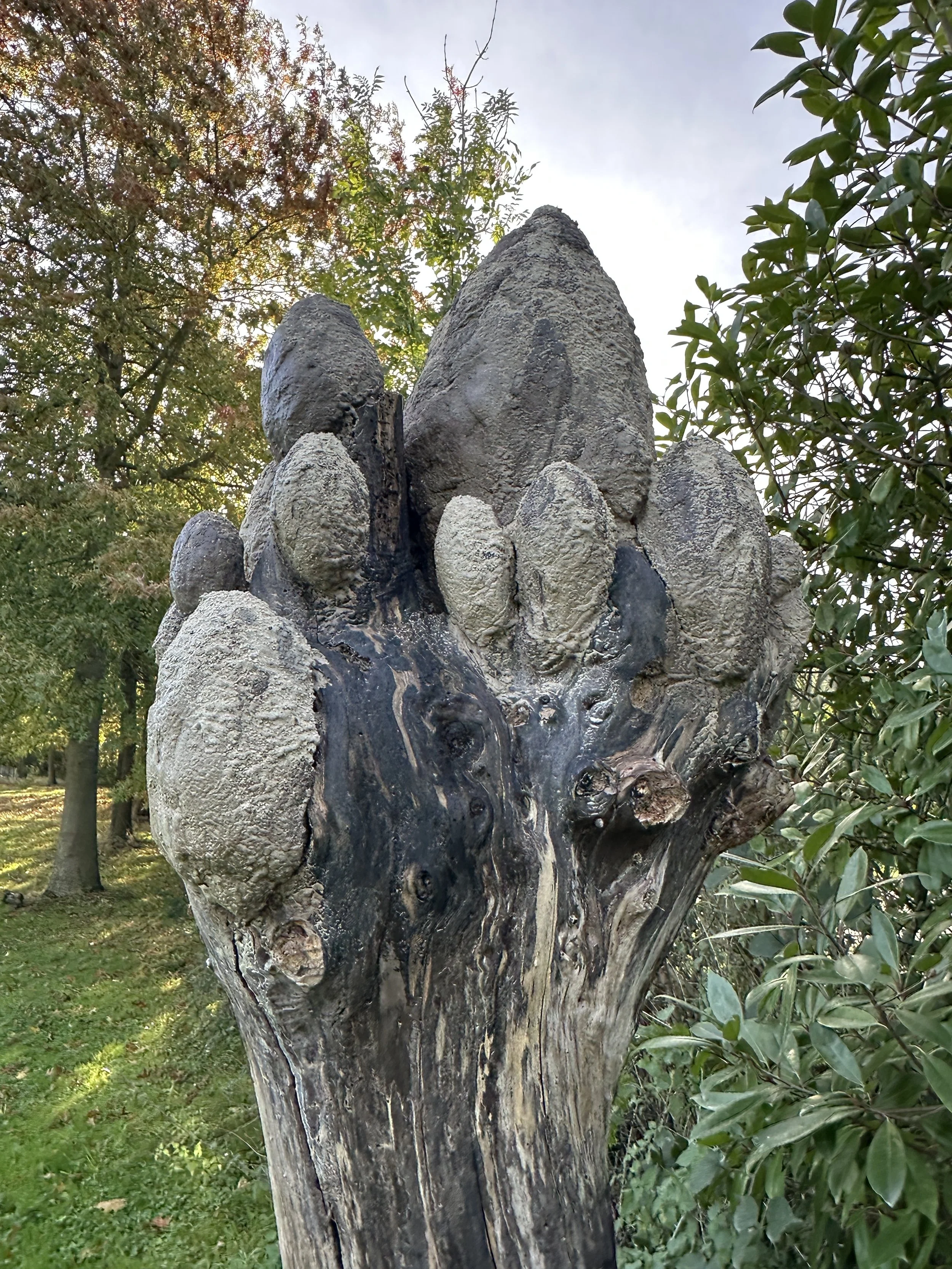  Half a year later and the clay is holding up in the garden of temporality. The tree is still a sculpture, despite the autumn storms. Now that winter is coming, We’ll see how it will evolve.   In any case, I already find it interesting how the struct