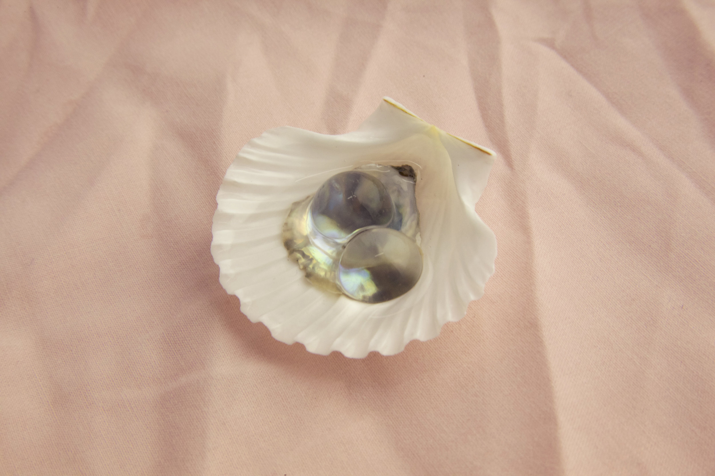 Foster Mother of Pearl