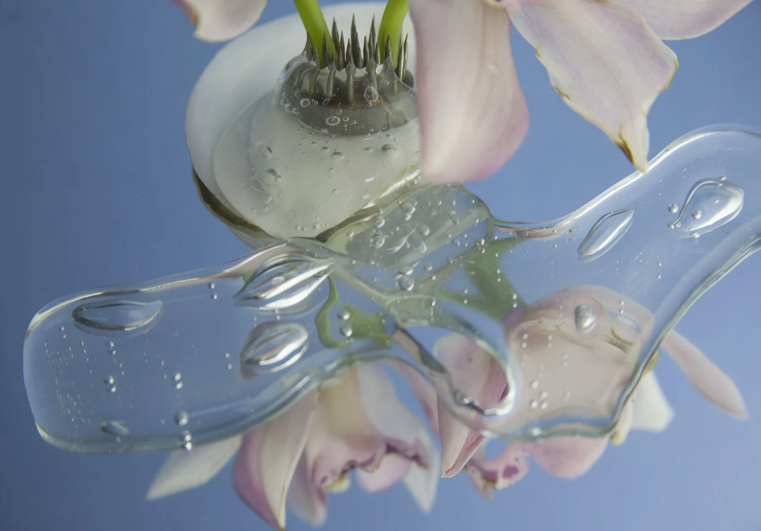 WetFlower.jpg