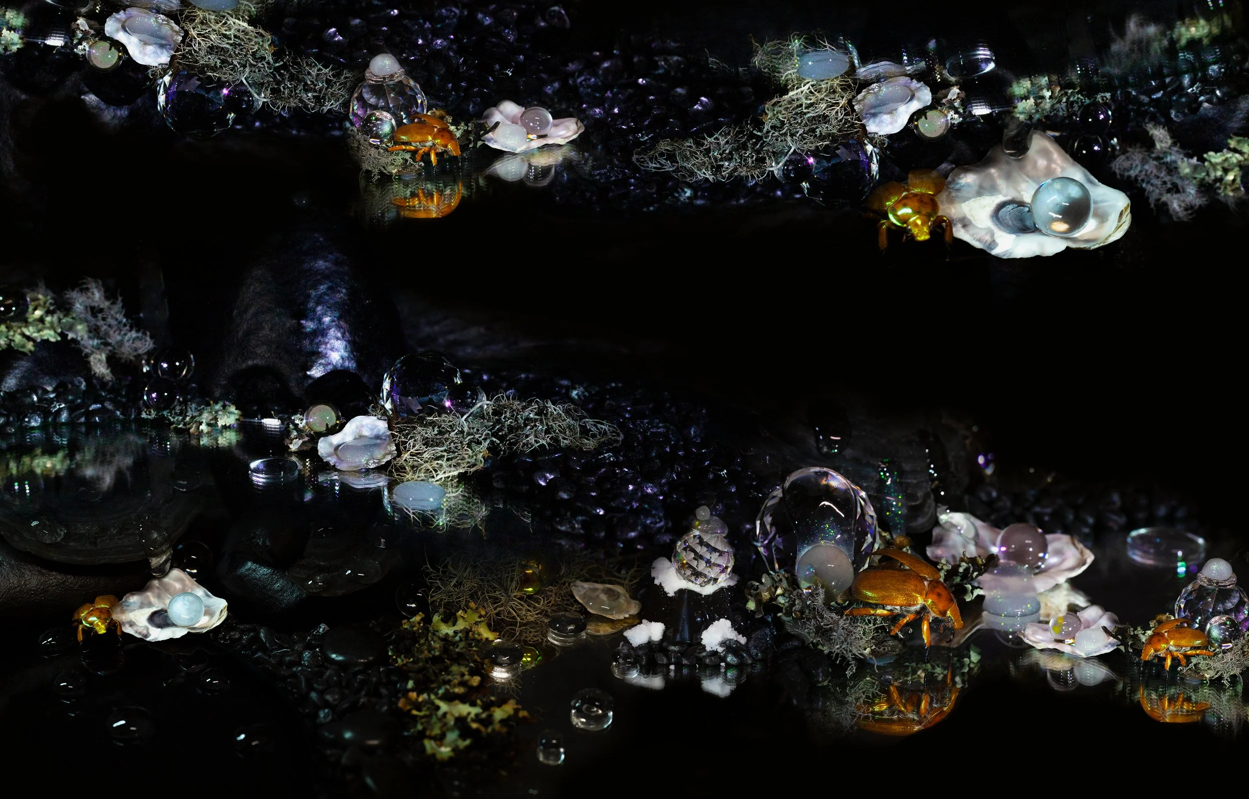Golden Turtle_841x538.jpg
