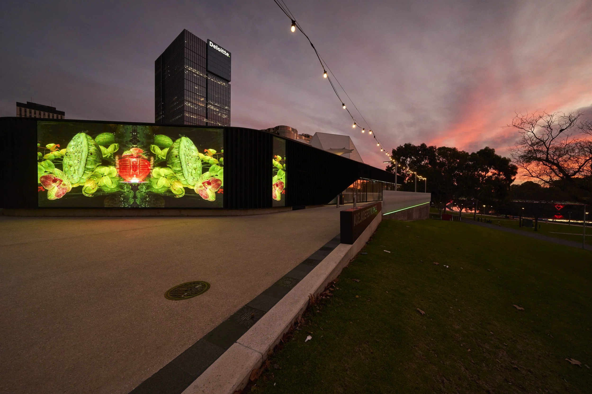 Ariel Ruby_The Jellyball Effect_Adl Fest Ctr Screens_Jun27 2024_136_HiRes.jpg