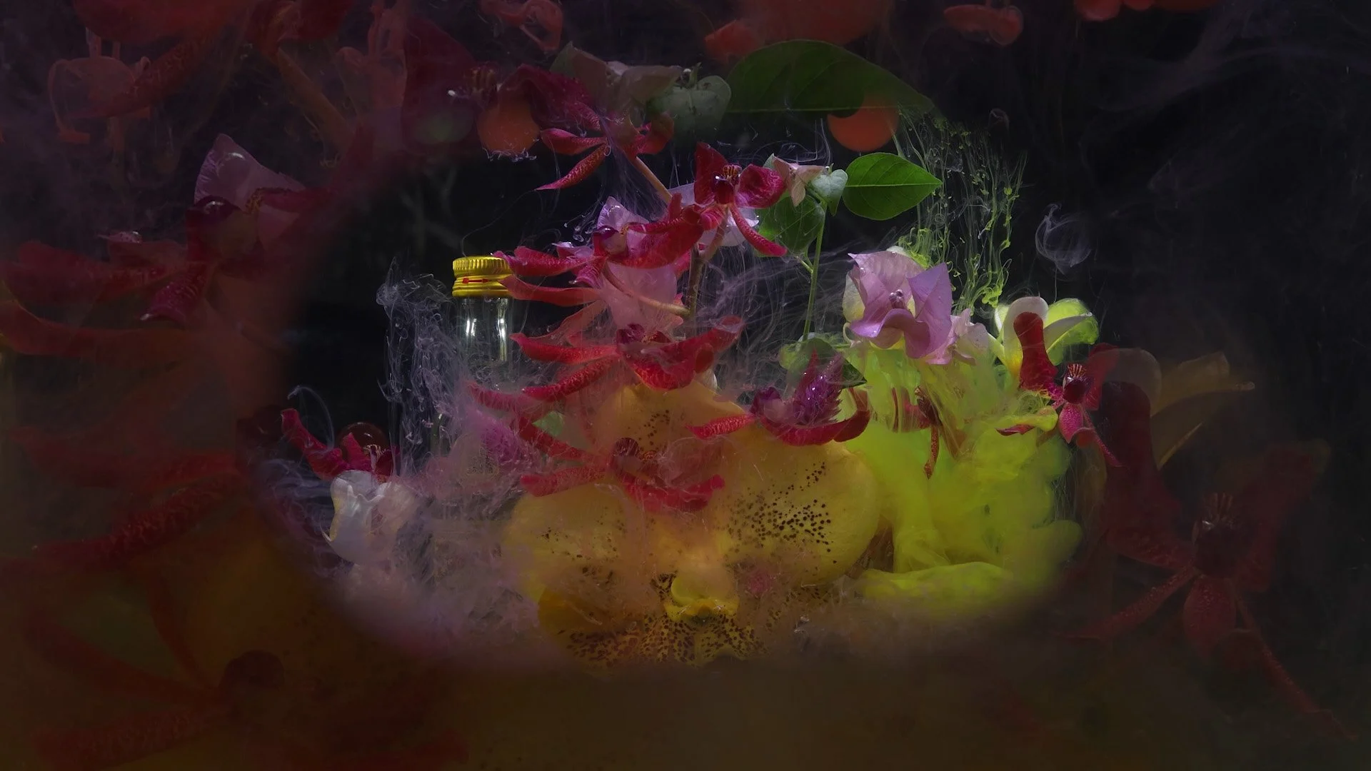 Ariel Ruby_TWN_Video 12.jpg