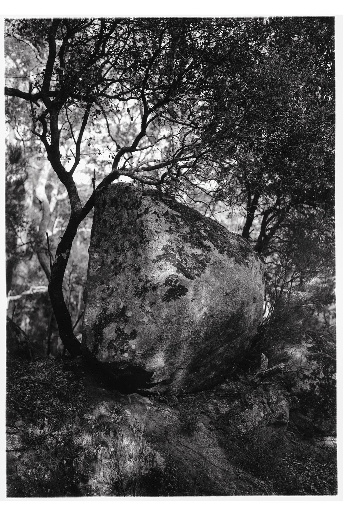 2 19.hermanos silver gelatine print.jpg