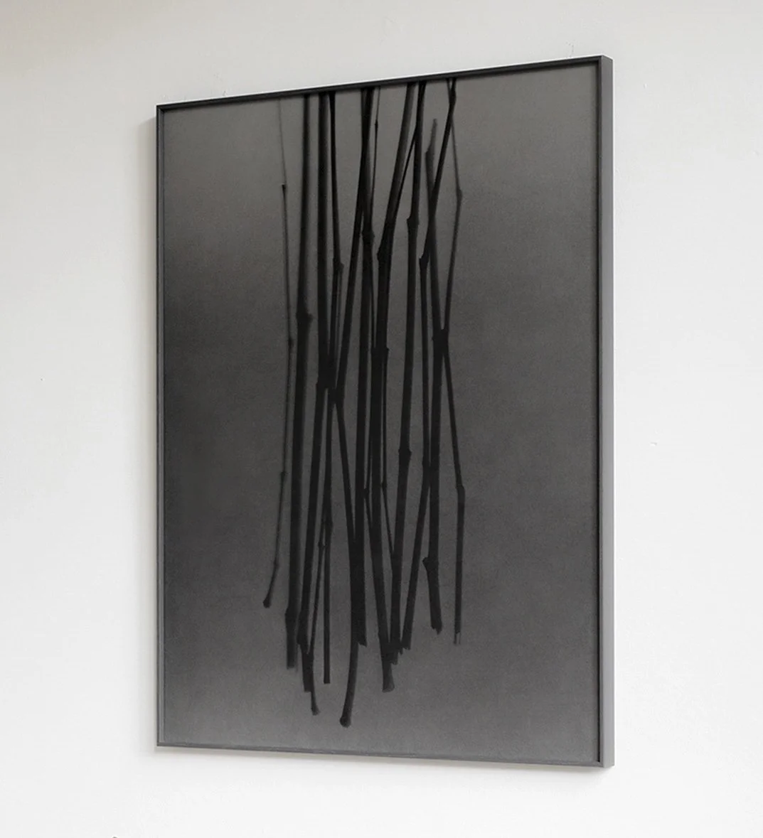 3 photogram 1 65 x 90cm_1.jpg