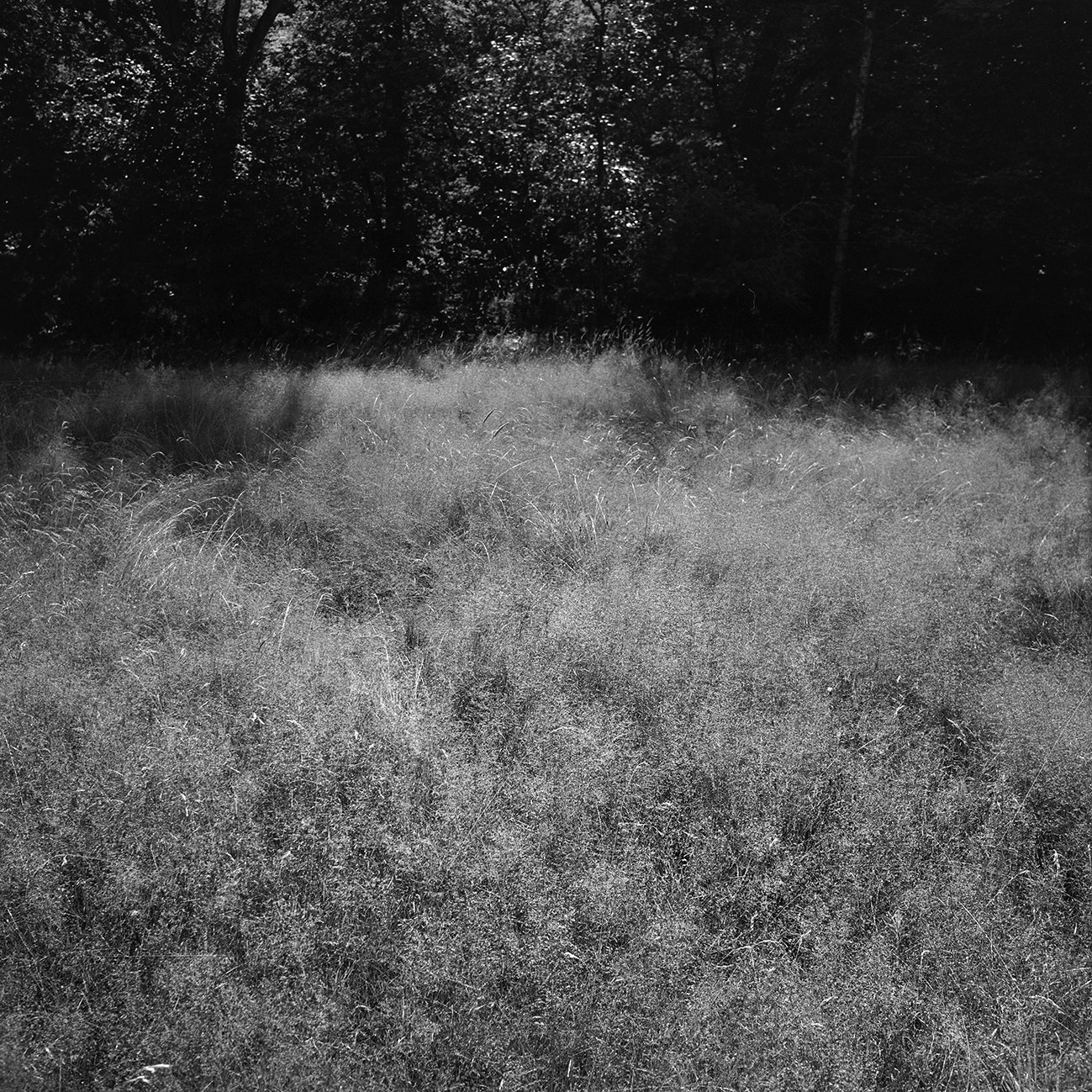 4 10.untitled.jpg