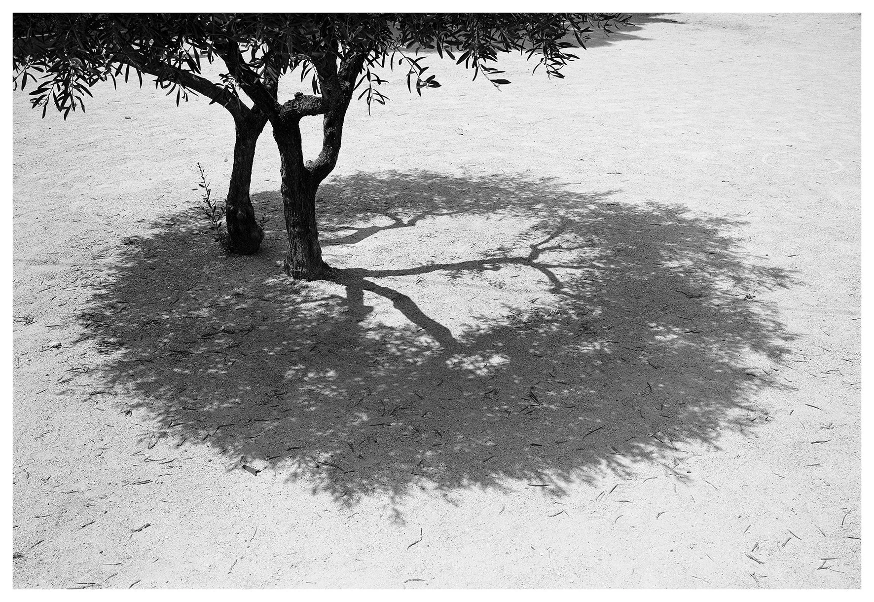 20.untitled.jpg