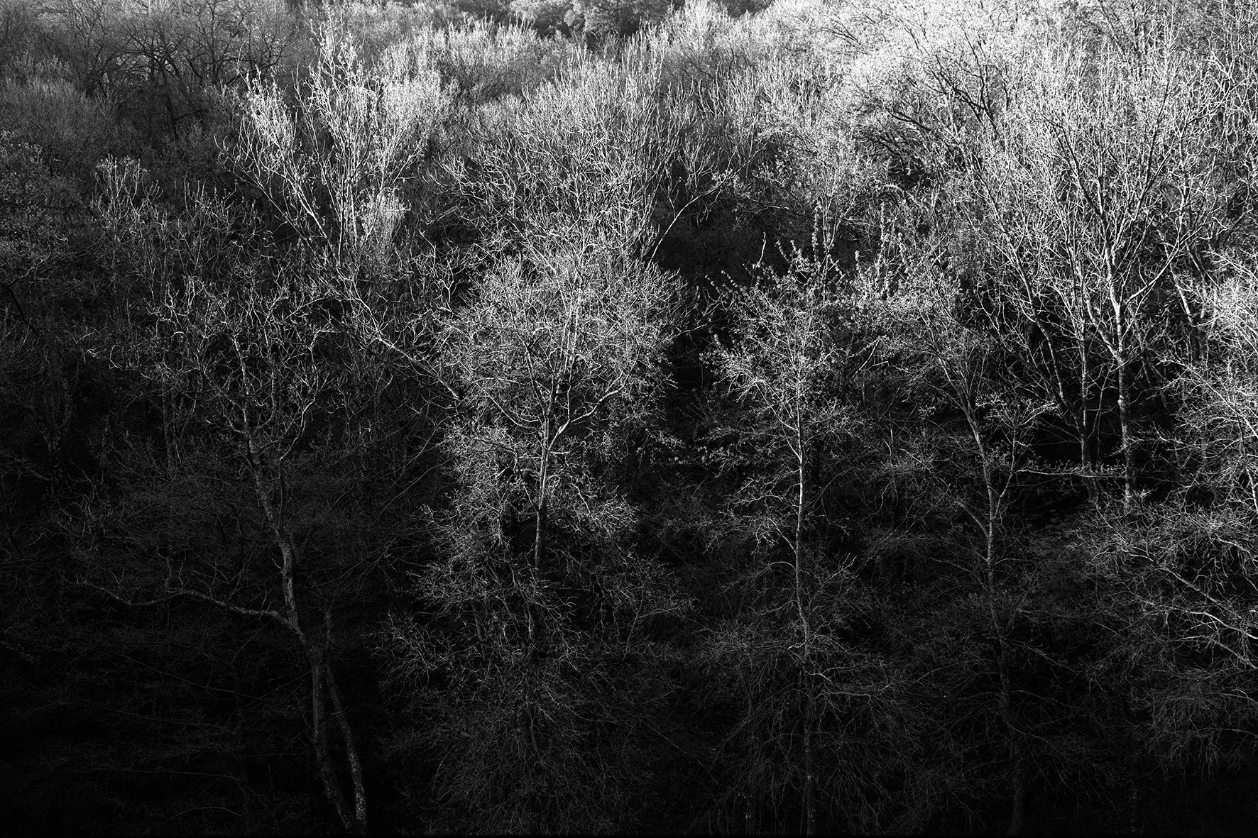 21.between winter and spring.jpg