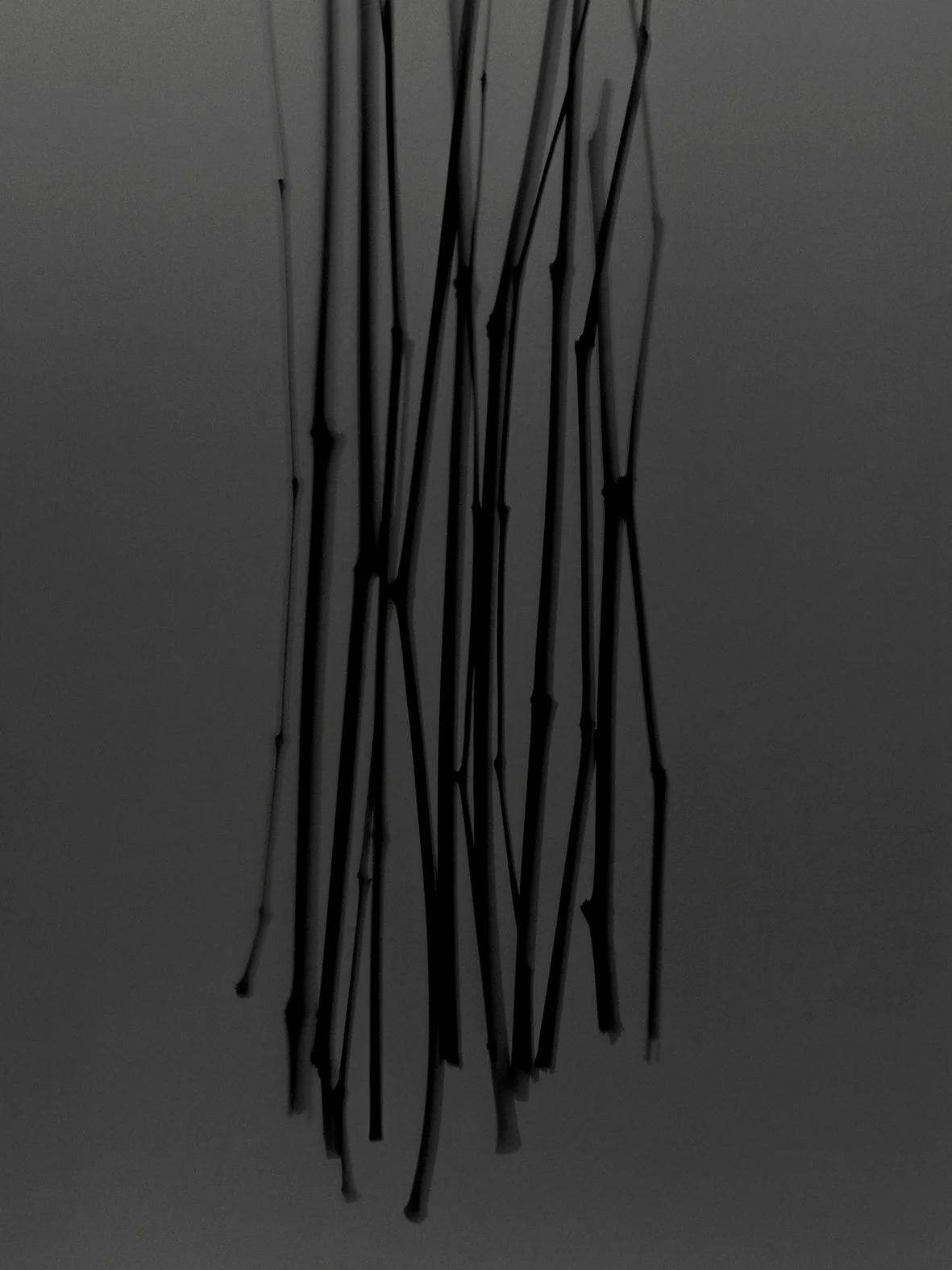 30.fotogram 1 67,5 x 90.jpg