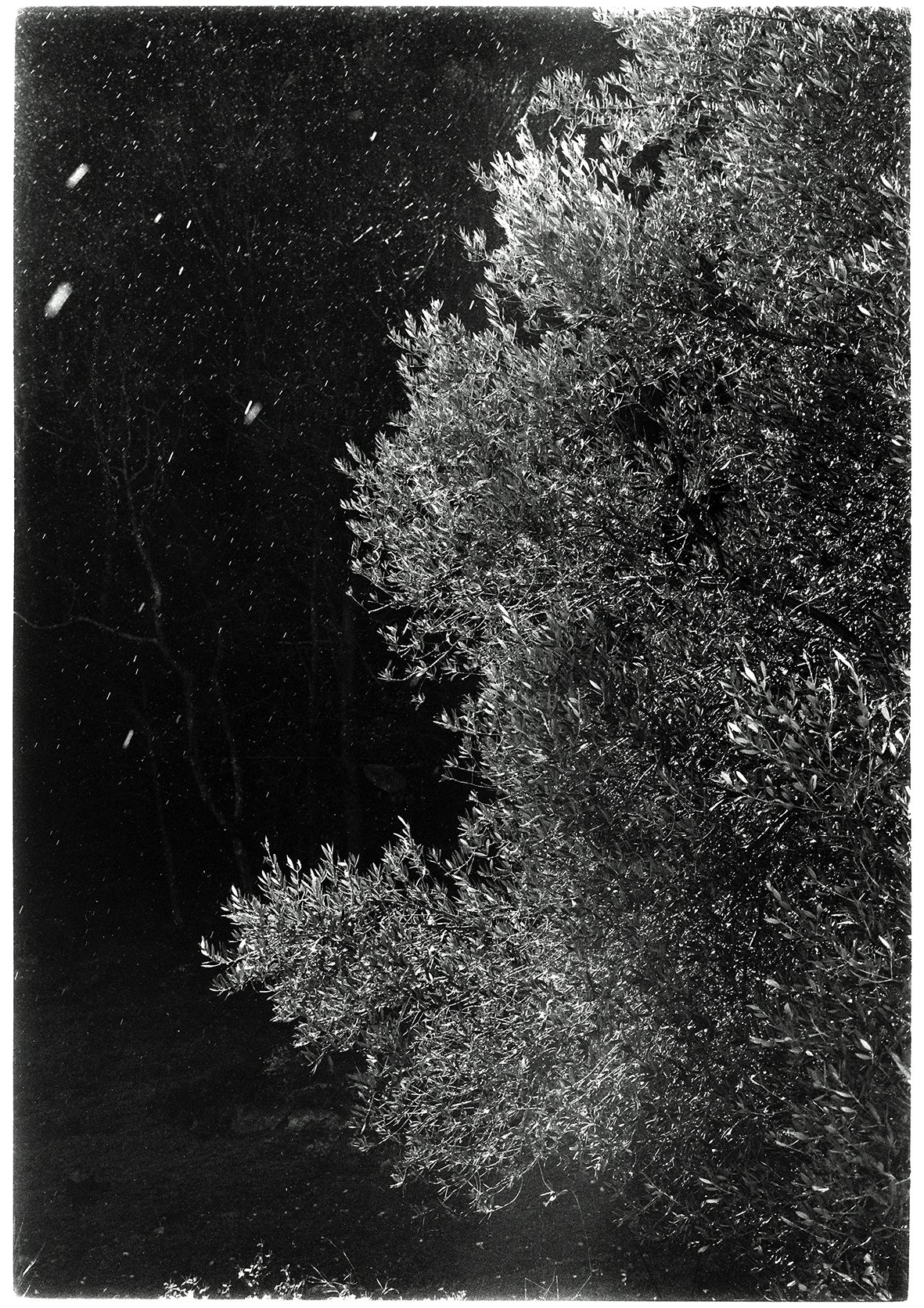 50.silver gelatine print.jpg
