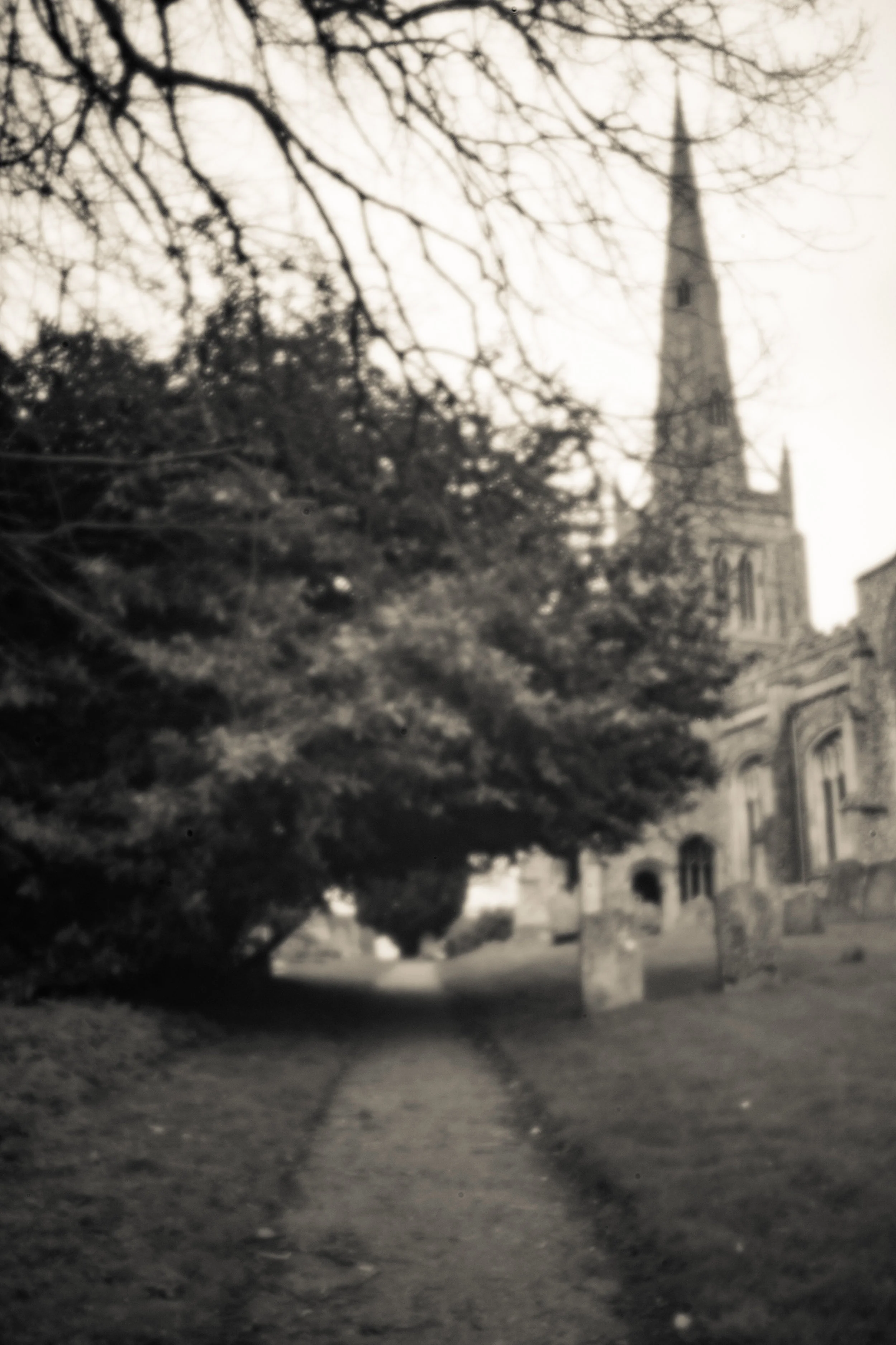 pinhole--8.jpg