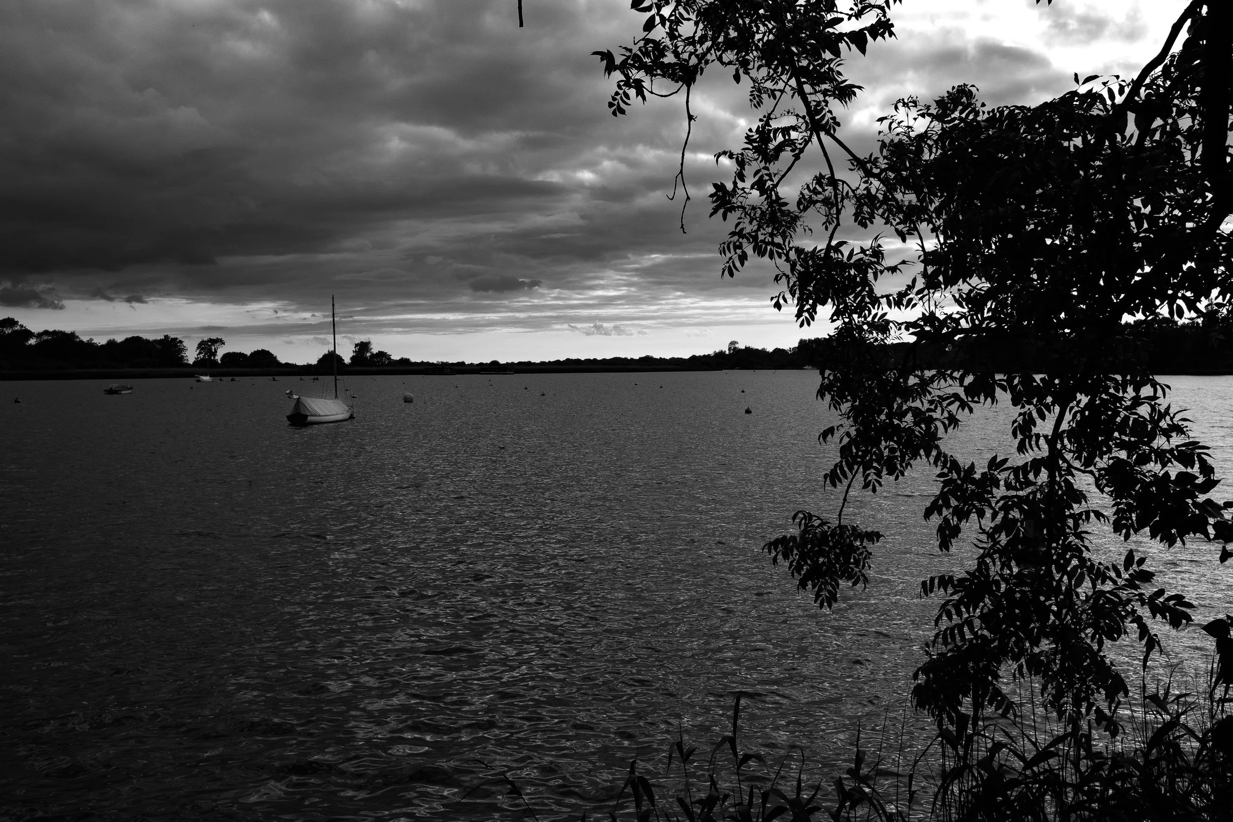 DSCF8225.jpg