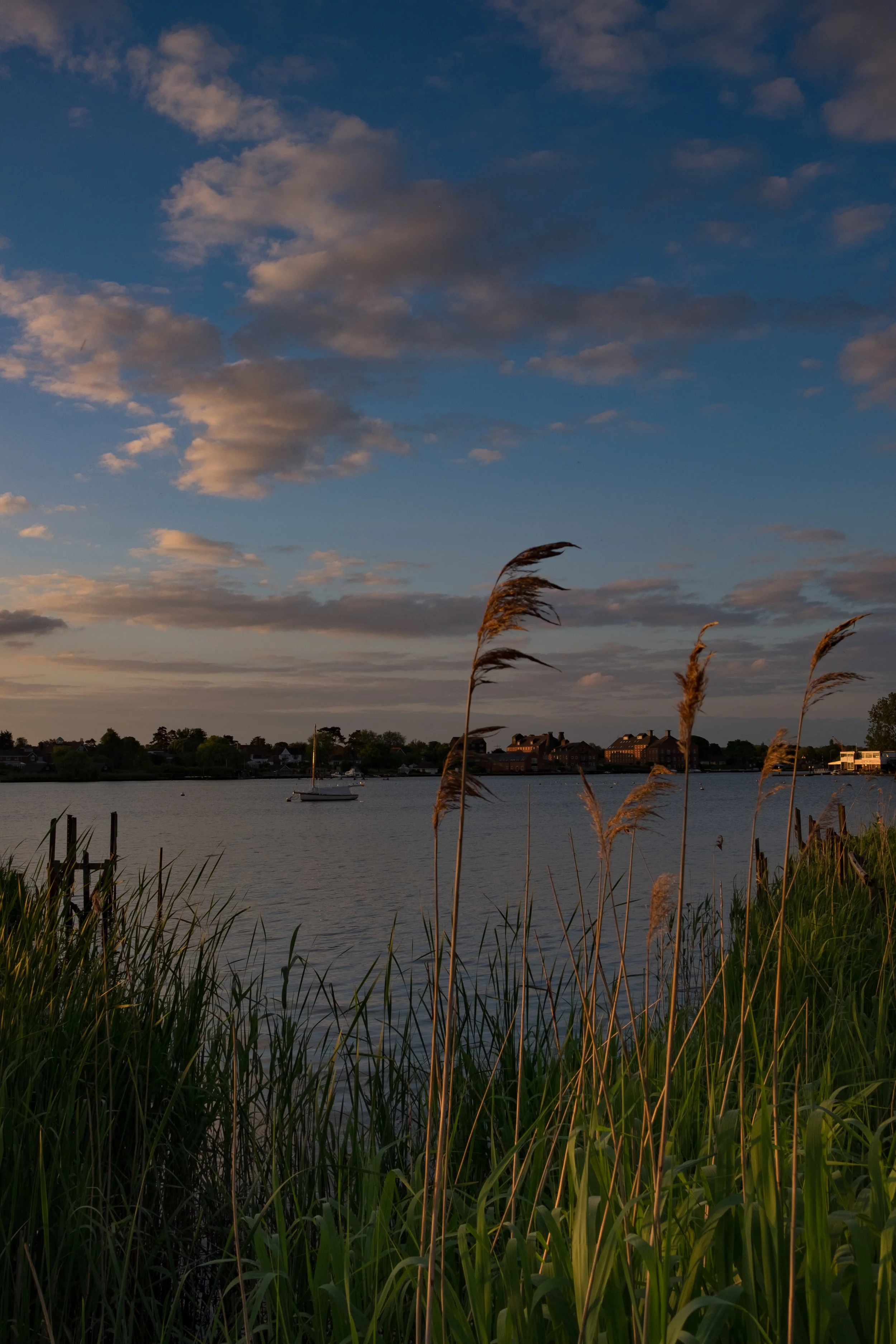 DSCF8258.jpg