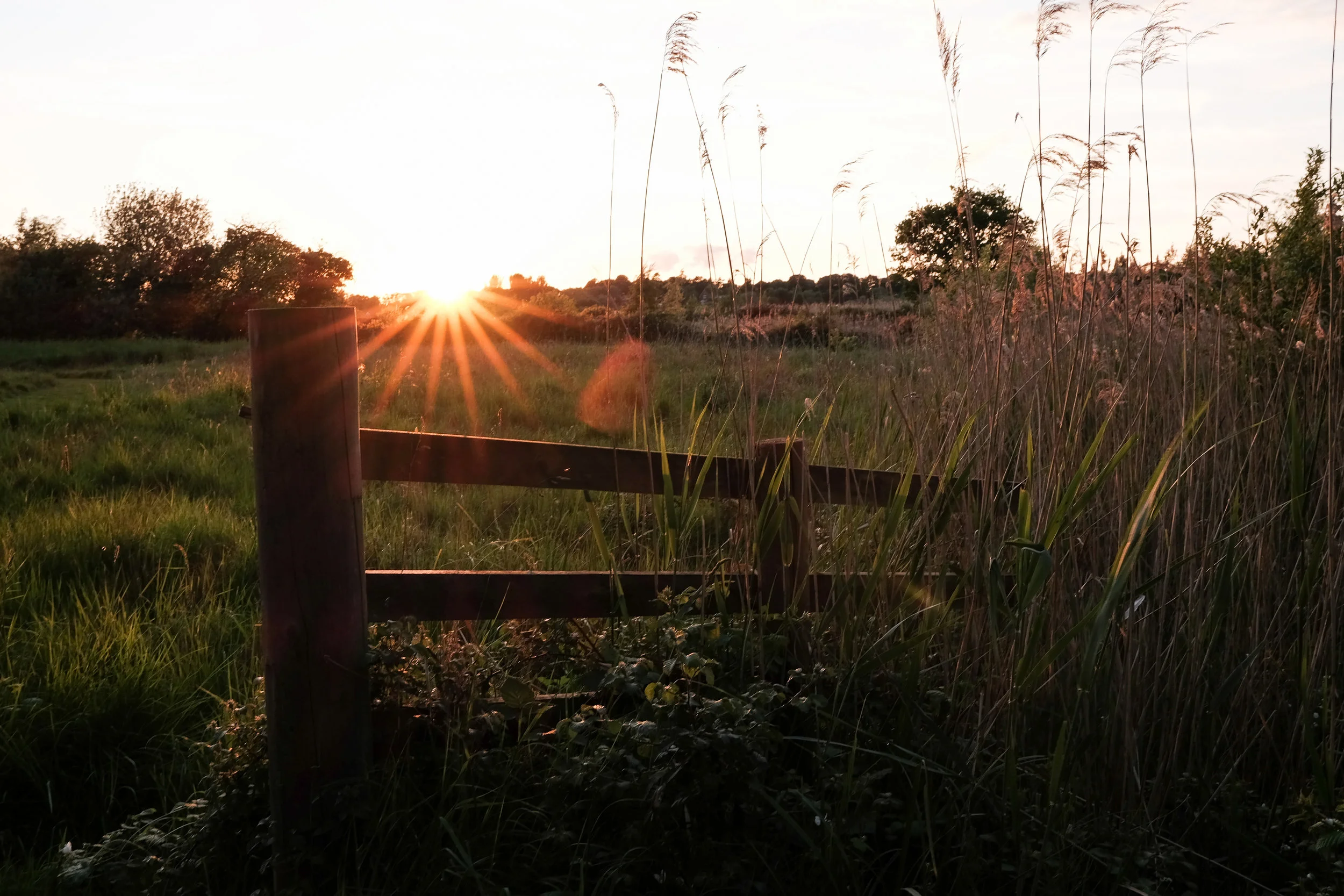 DSCF8278.jpg
