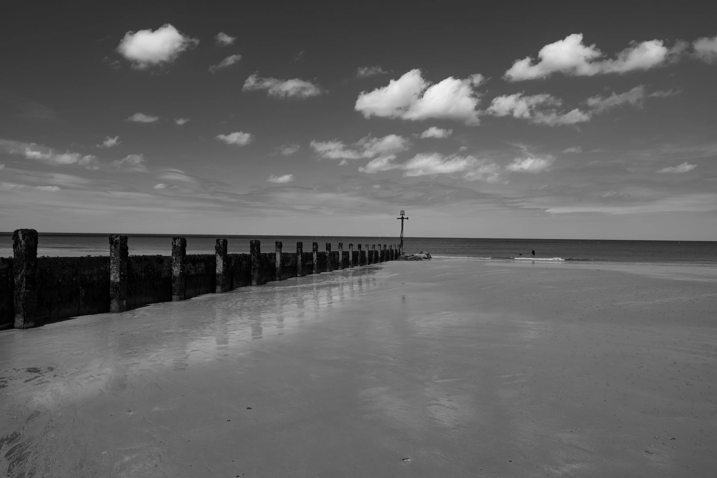 DSCF8436.jpg