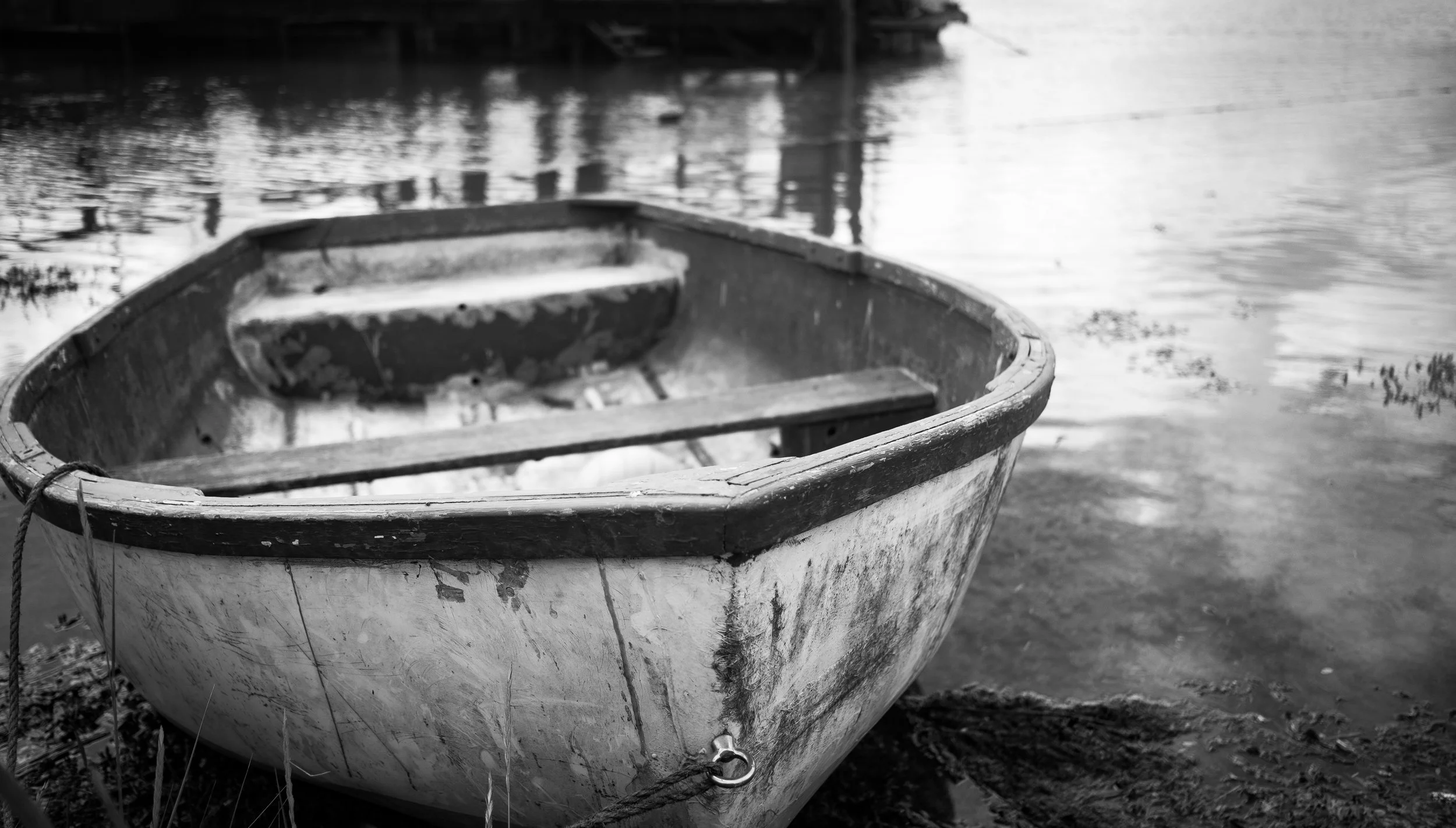 DSCF8626.jpg