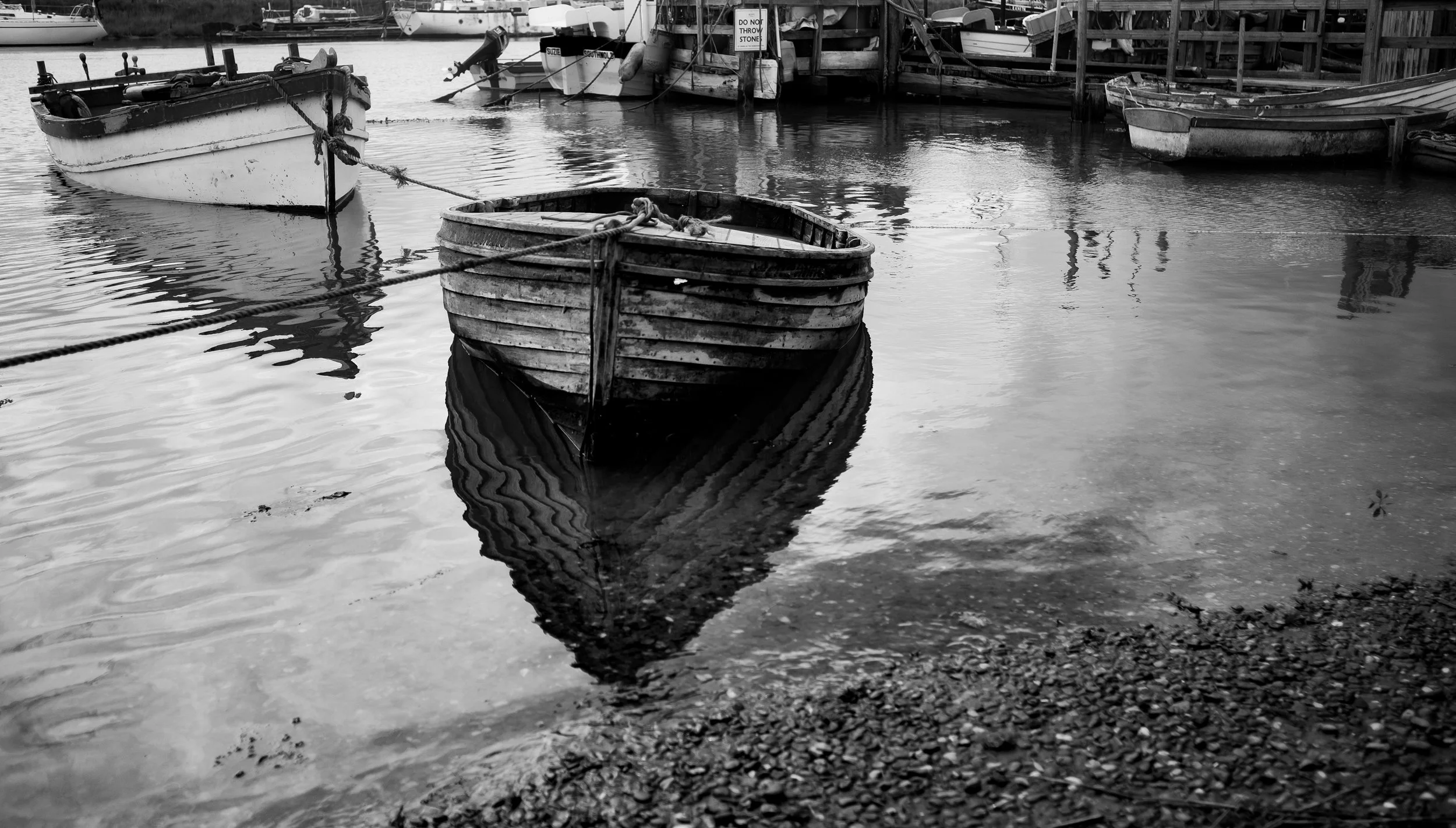 DSCF8631.jpg