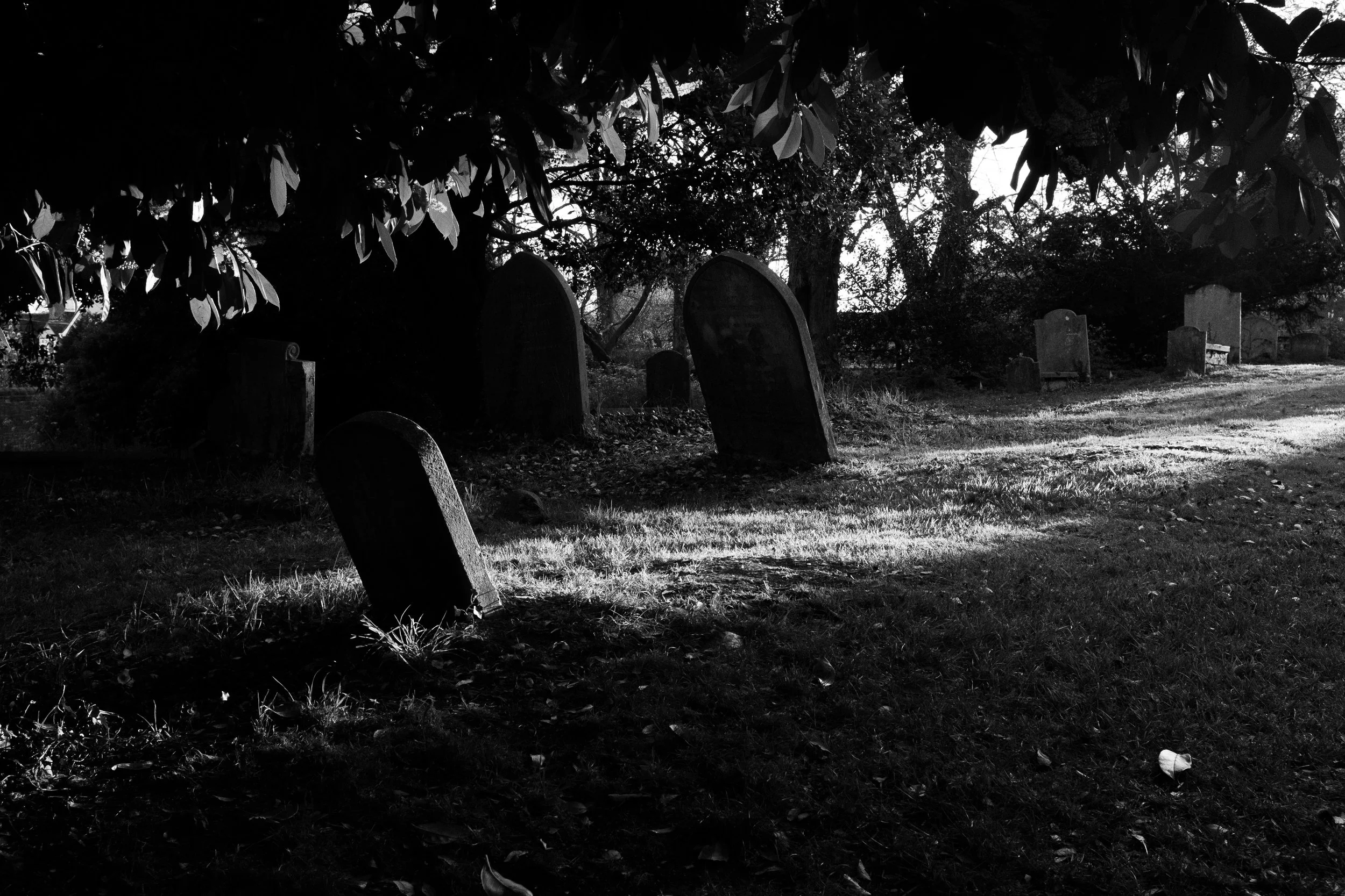 thaxted.jpg