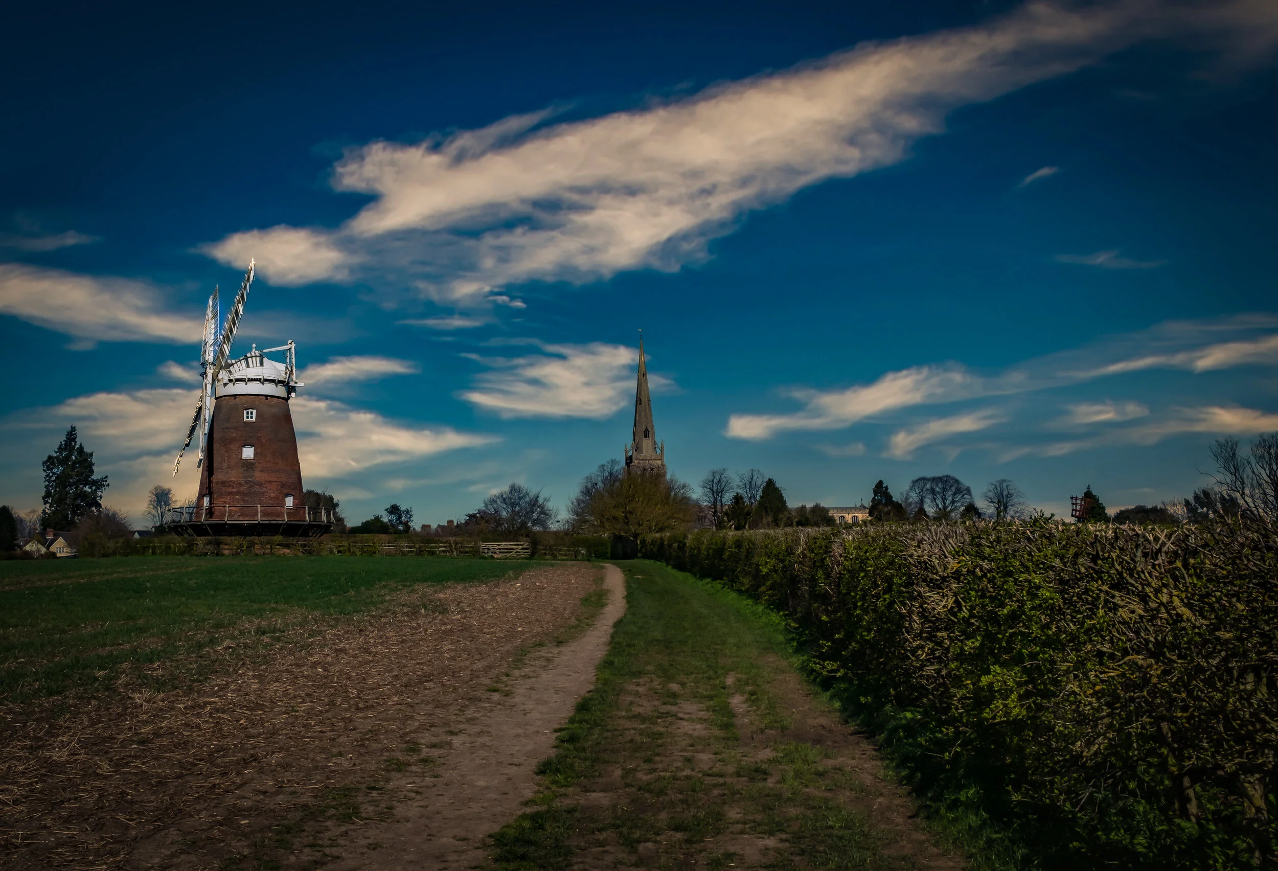 thxted-4.jpg