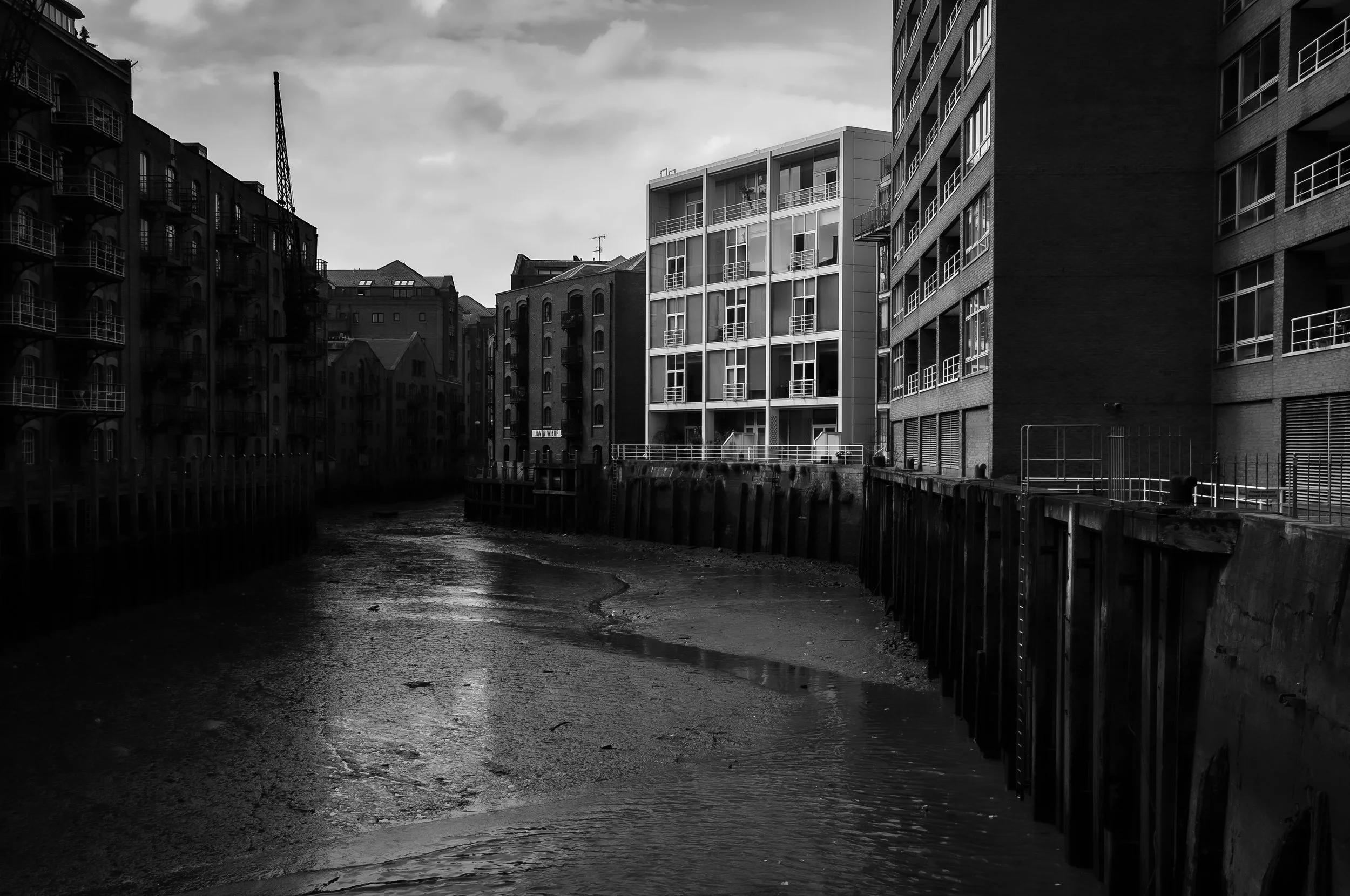 NEW BLACK AND WHITE-1-2.jpg