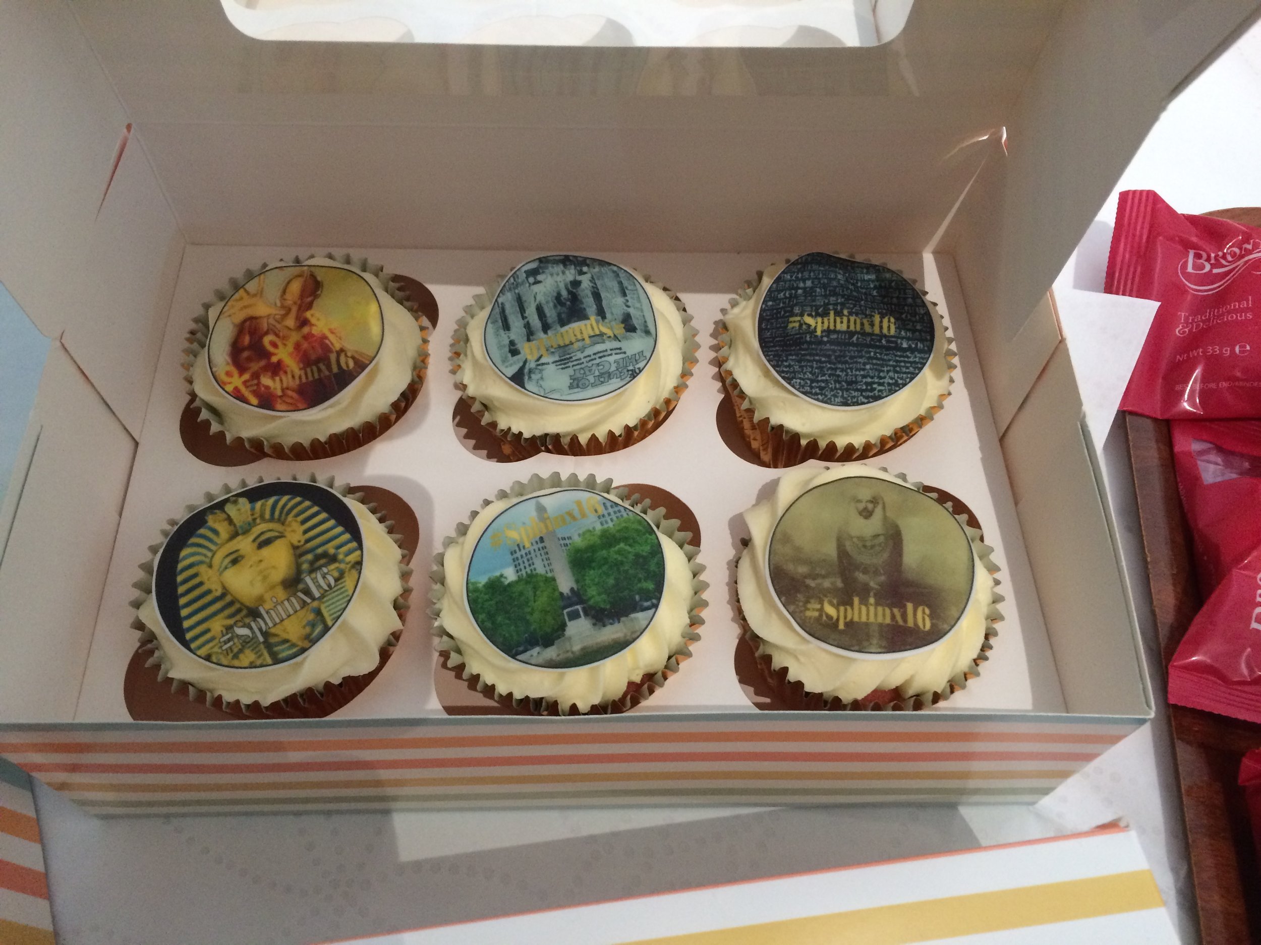 Some of the amazing Egyptomania Cupcakes! 