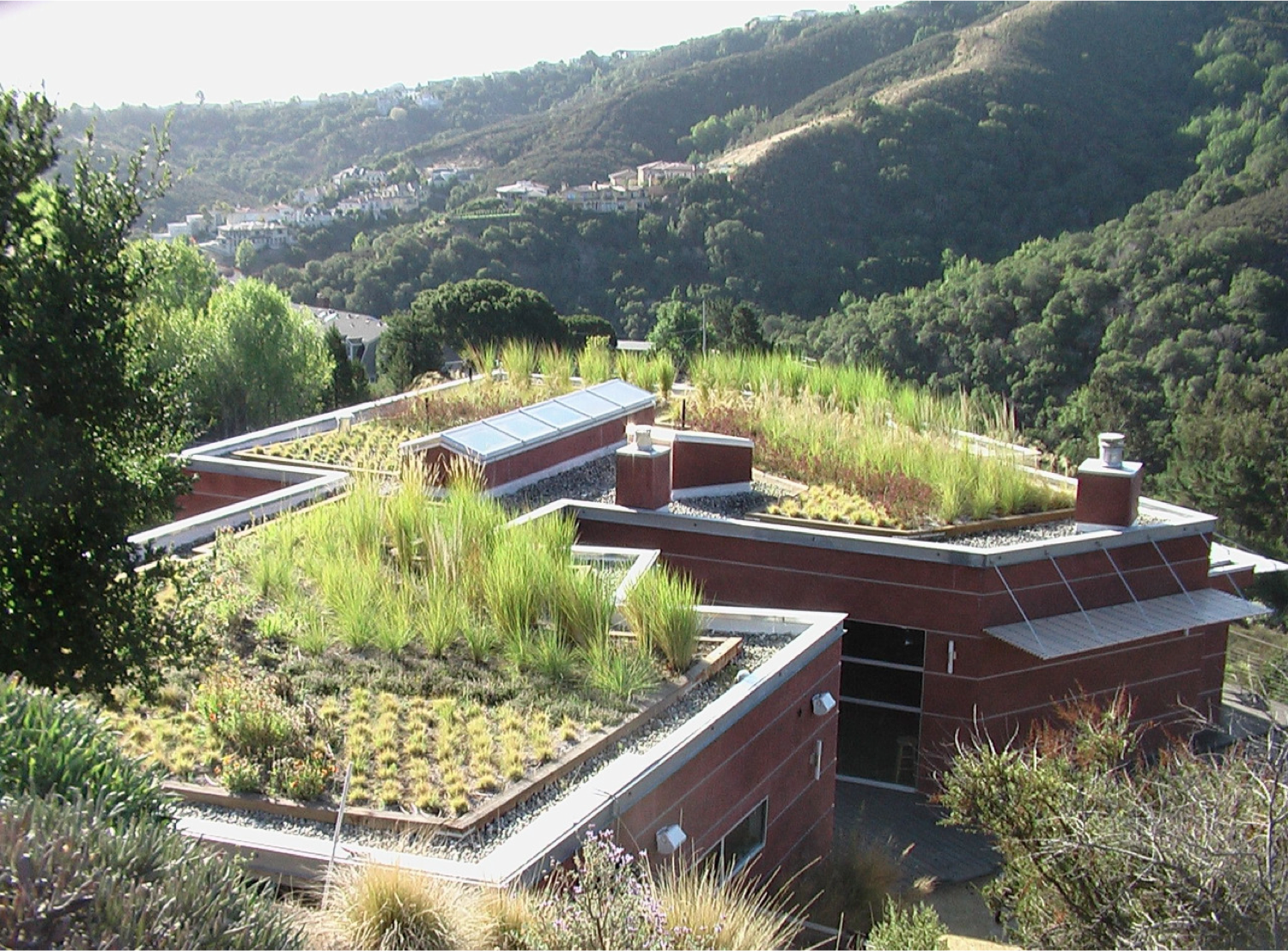 Sustainable Green Roof