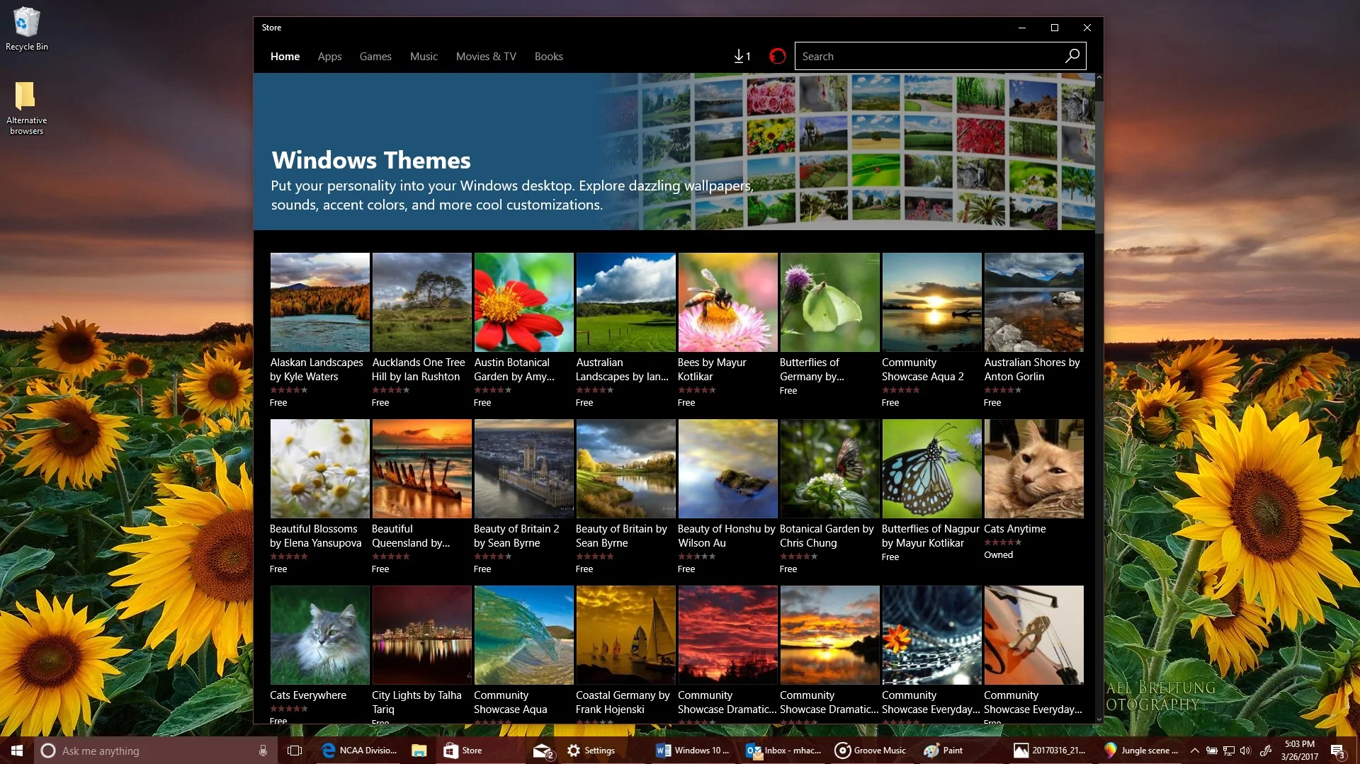 Themes in the store