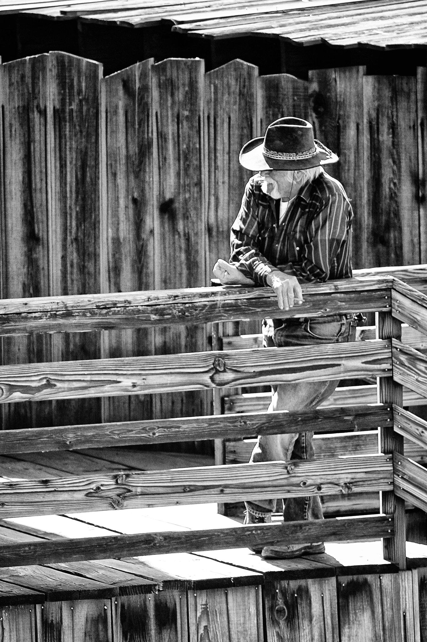 Cowboy, Calico, California, America, 2013.