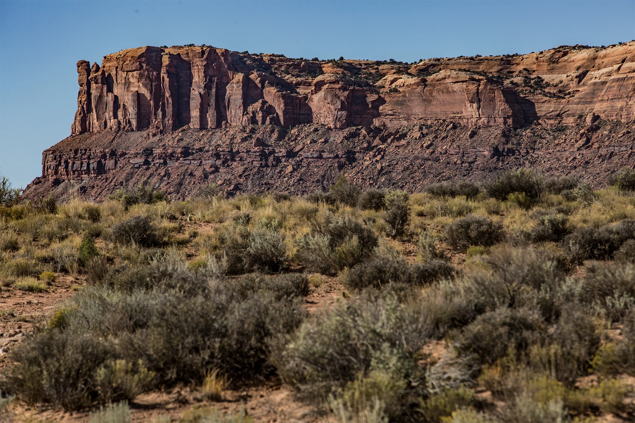_MG_8776.jpg
