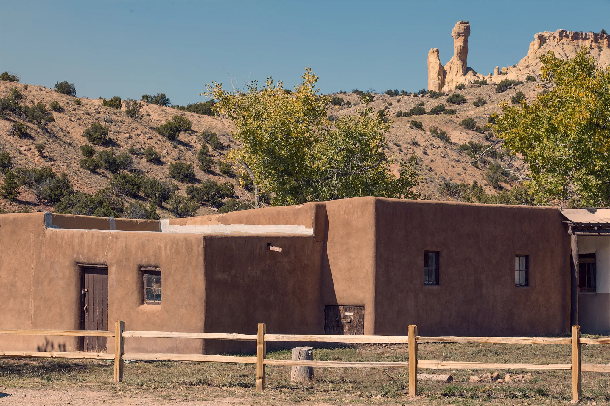 _MG_0005.jpg