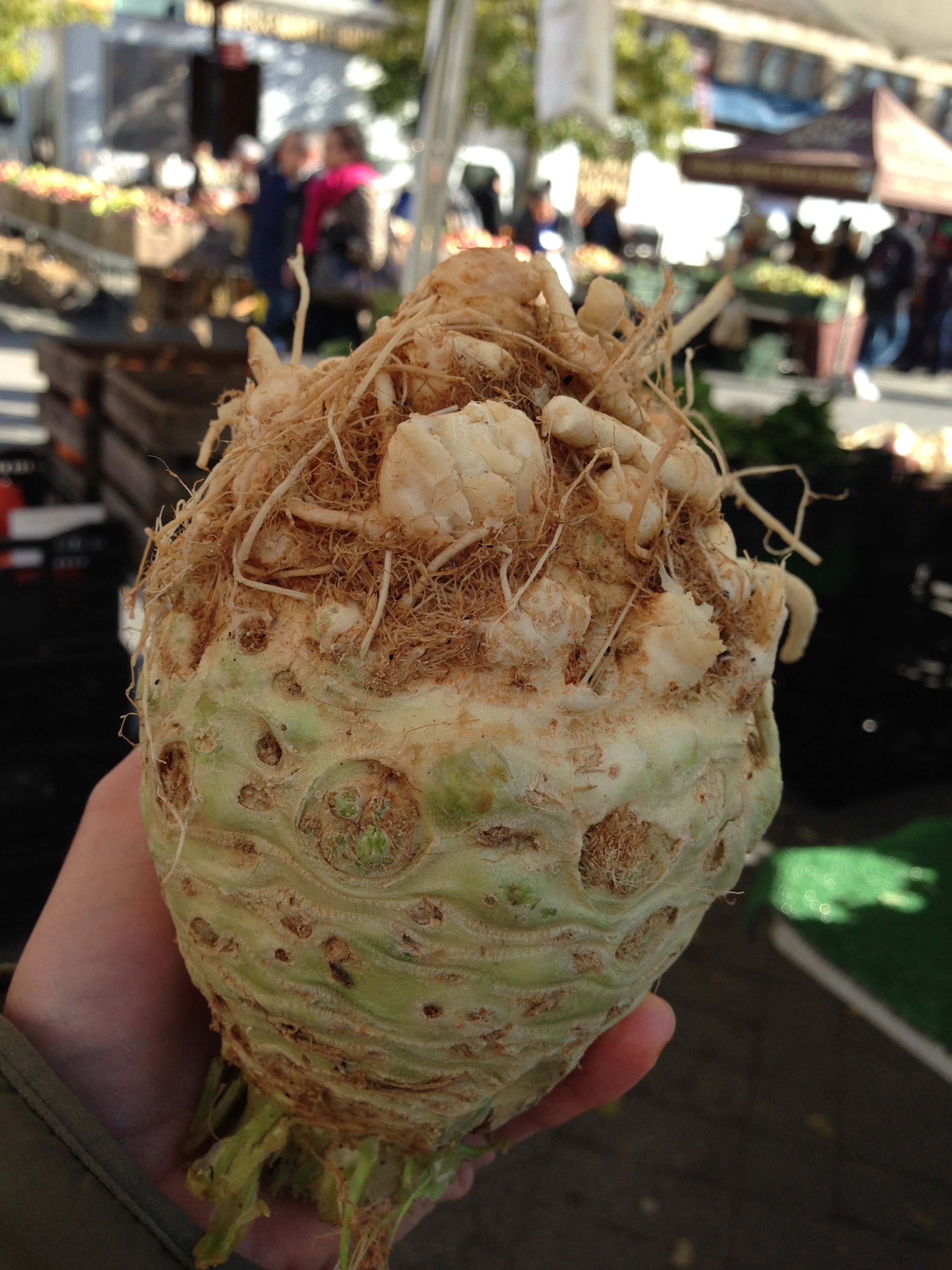 Celeriac only looks scary! It's actually super tasty. It tastes like celery (as you might imagine) but the flavor is a little lighter and sweeter.