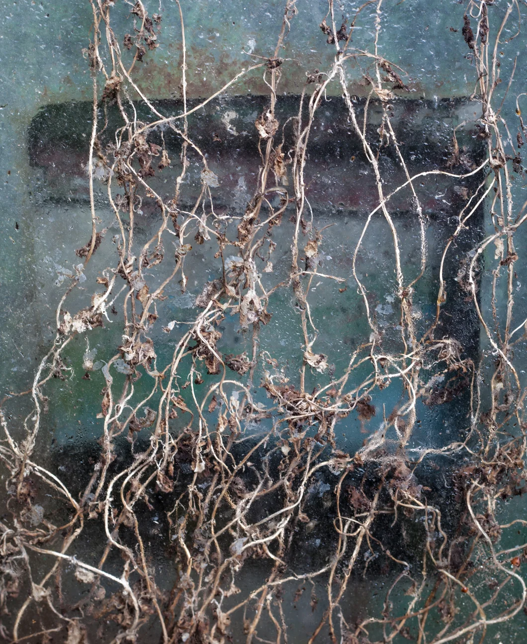 textures_IMG_8365.jpg