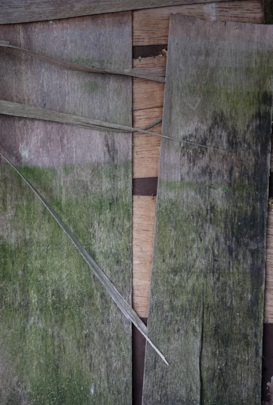 textures_IMG_8361.jpg