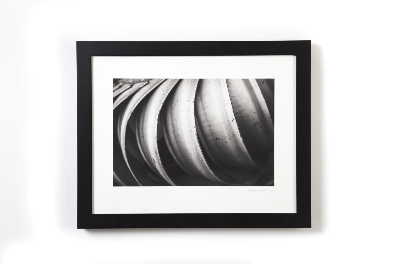 Fidelity_artwork-022.jpg
