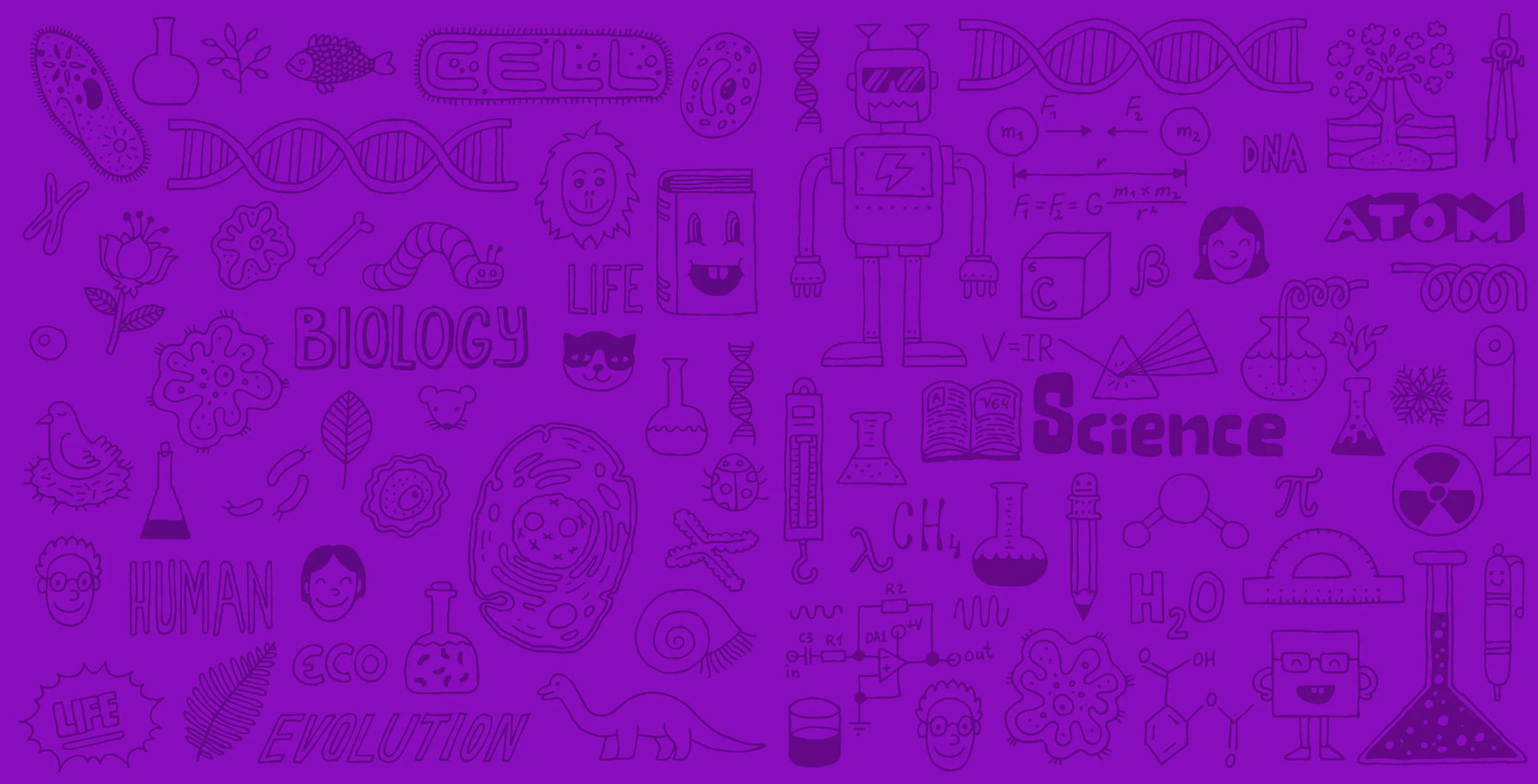 header-purple.jpg