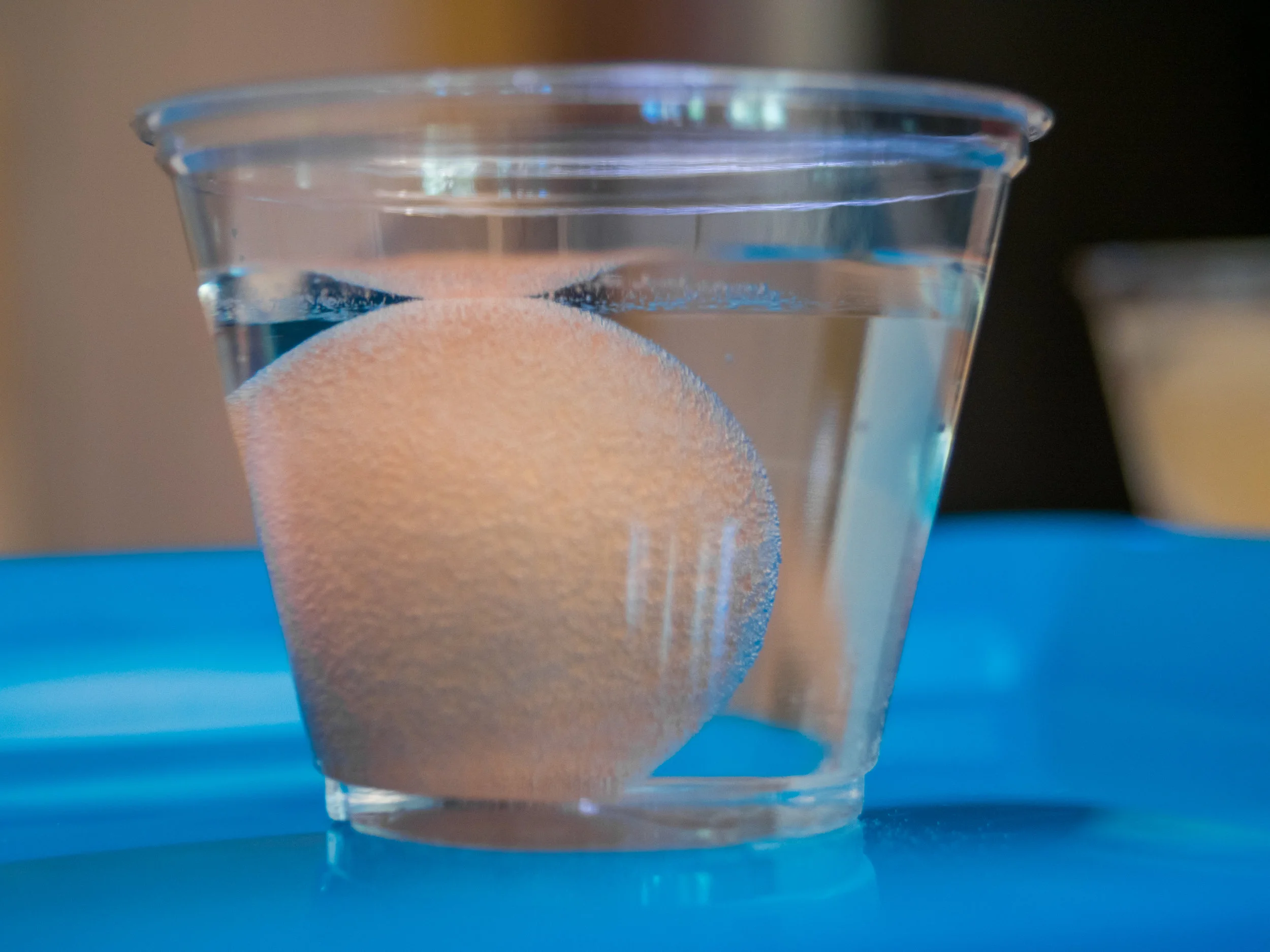 Egg in vinegar. The bubbles on the shell are from gas released when the vinegar reacts with the calcium carbonate. Leave this overnight and the eggshell will dissolve! Image by Yat-Long Poon , from Experimenting with Science , published by Wiley
