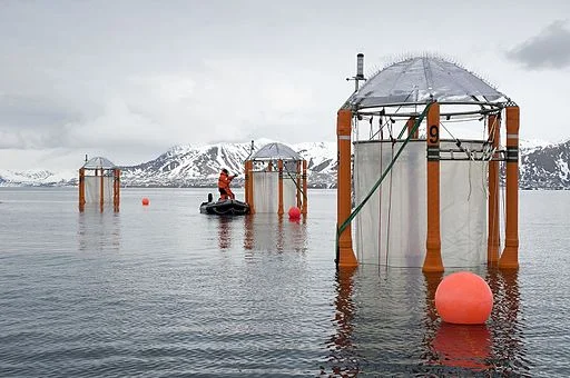 A scientist in Svalbard, Norway studying the effects of climate change on the oceans' chemistry. 