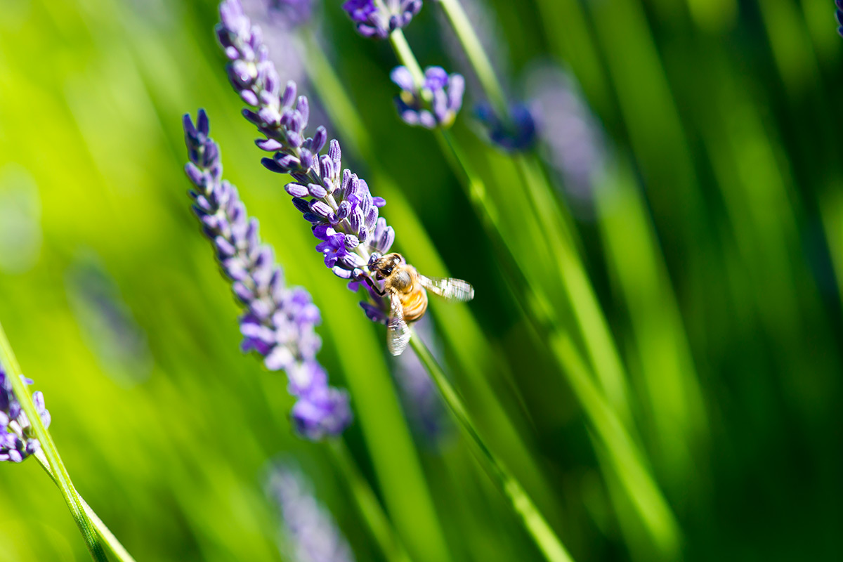 Steffen_Lutz_Fotografie_Landschaft_04.jpg