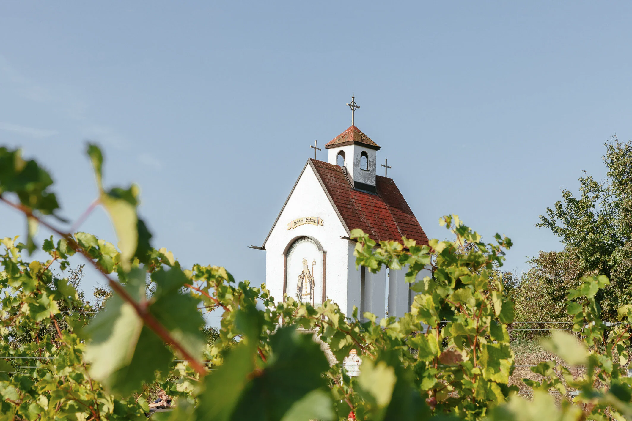 Weinland Thermenregion - book