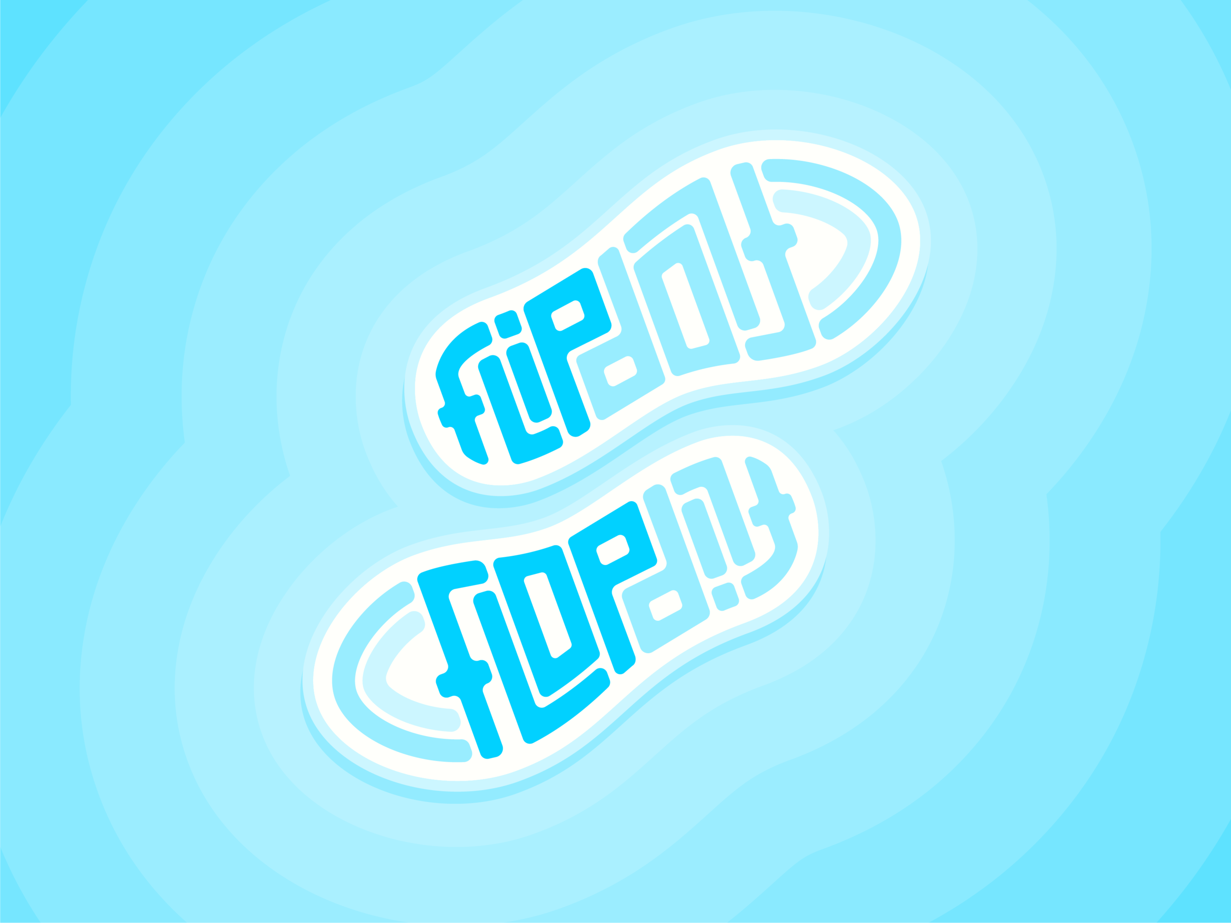 Flip Flop
