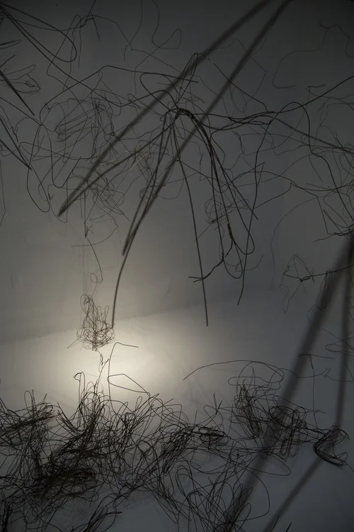 haywire_09_detail..jpg