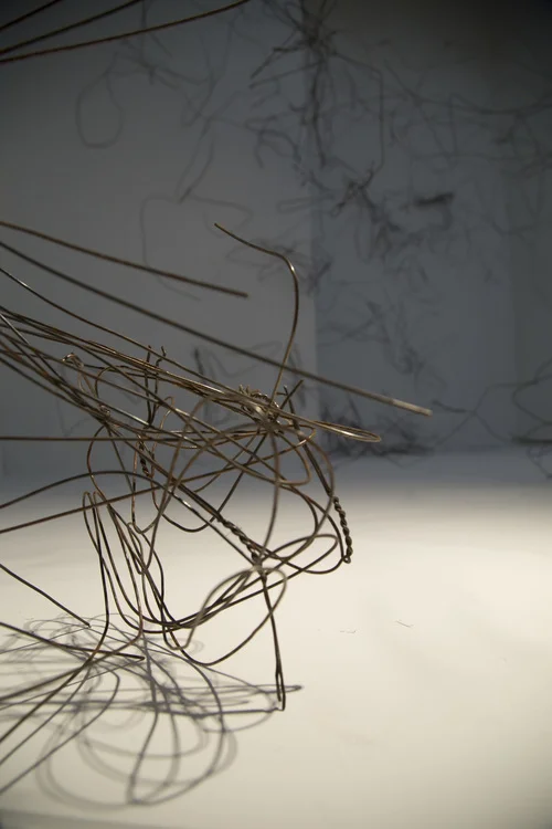 haywire_12_detail..jpg