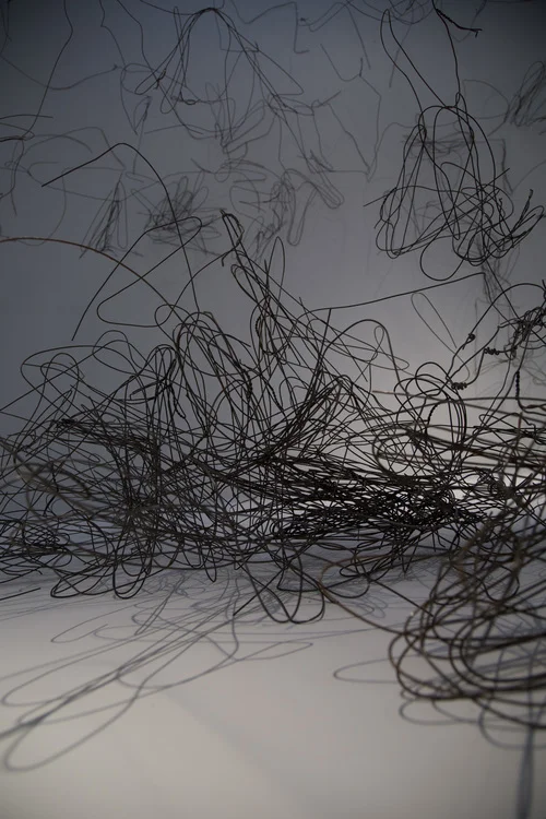 haywire_11_detail..jpg