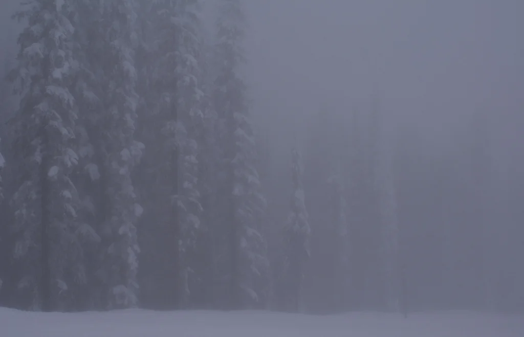  Foggiest Notion - Top 10 Live Auction Finalist - RMG Exposed - Robert McLaughlin Gallery, 2014  Prints available on archival certified, eco-friendly paper - various sizes 