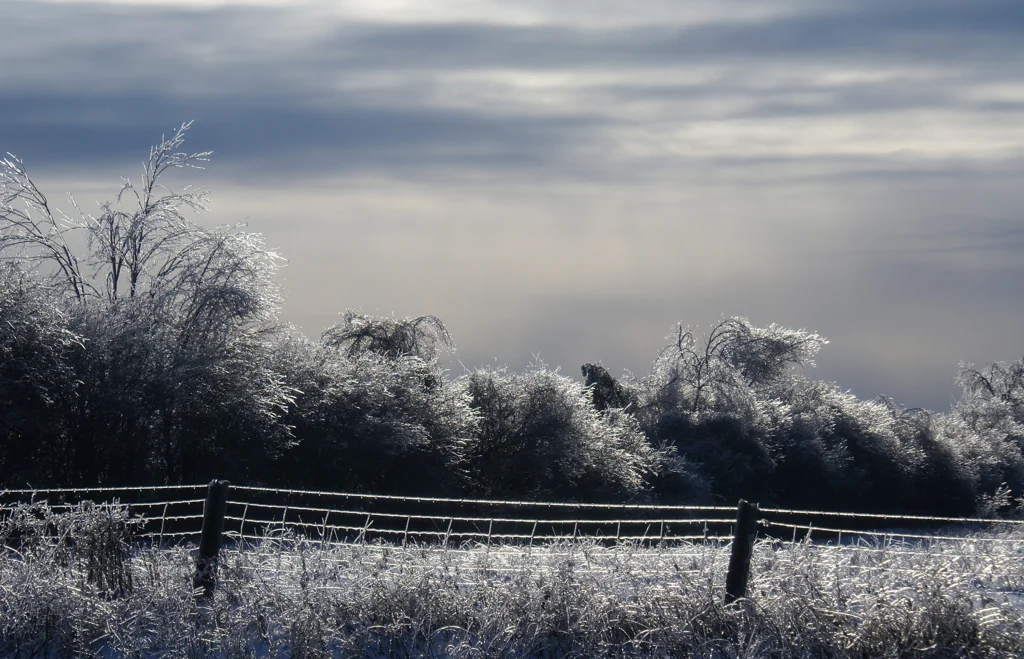  December Twenty Two  Prints available on archival certified, eco-friendly paper, various sizes 