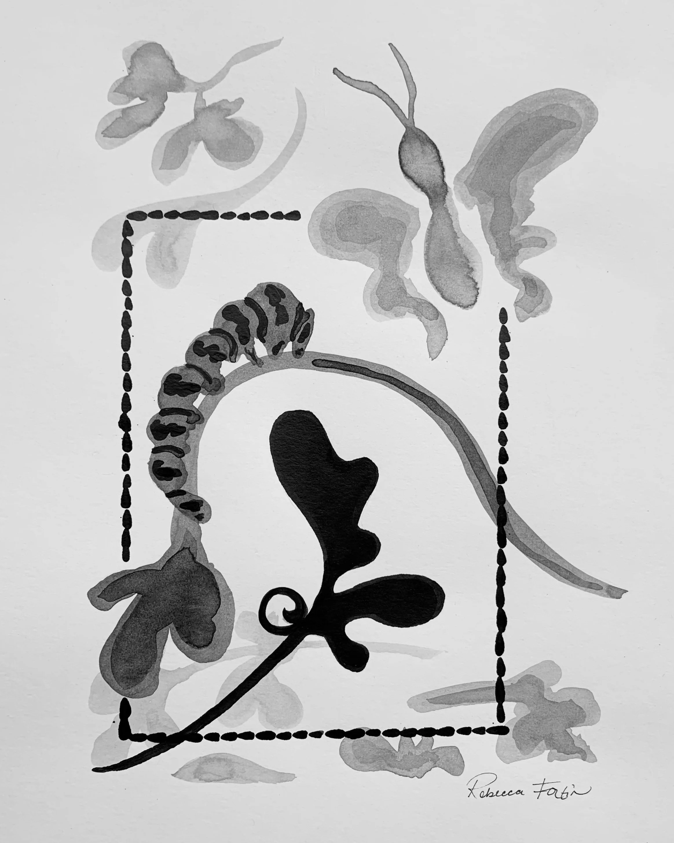  Swallowtail Metamorphosis, india ink on bristol, 12in x 9.5in (ready to hang in black frame under white matte and UV protectant, museum-quality glass)  Available — $260 