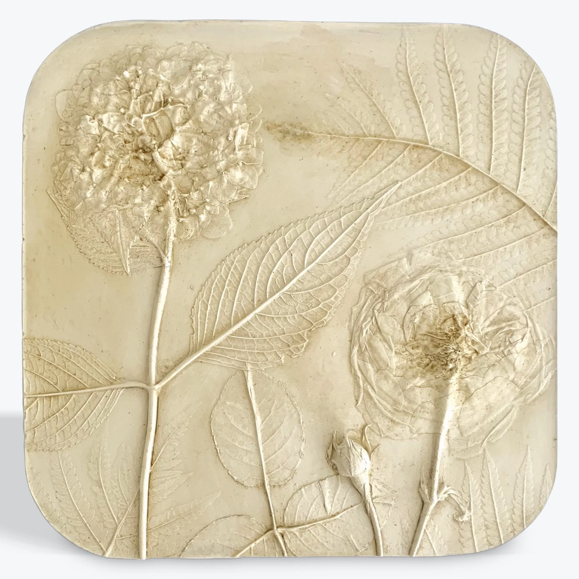  Hydrangea and Rose in Elderberry, elderberry pigment and milk-paint on hydrostone, 9in x 9in x 0.5in (ready to hang with picture-wire hook on back)  Bring home this sophisticated botanical sculpture featuring a hydrangea entwined with roses. Ferns p