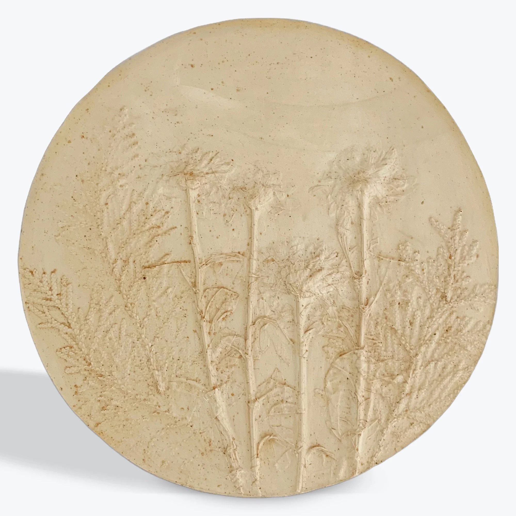  Mums and Cedar in Red Raspberry, natural plant pigment (red raspberry) on plaster-of-paris, 10in round x 0.5in (ready to hang with picture-wire hook on back)  This botanical wall sculpture showcases exquisite cast of chrysanthemums and cedar branche