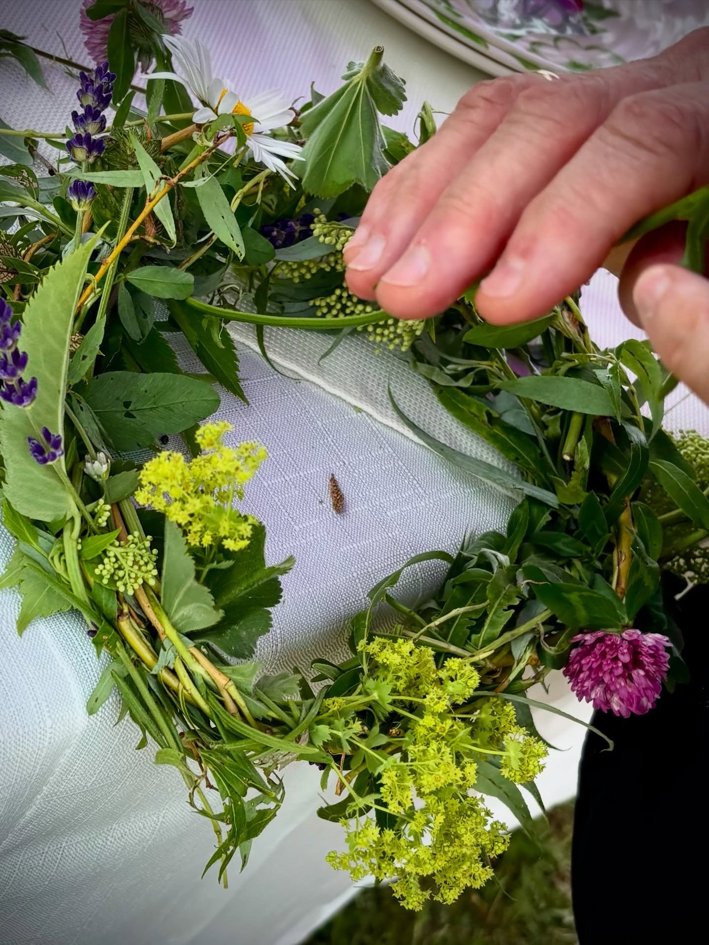 Last Saturday, we had a glorious time gathering @tranquilitytrailsfarm in the lavender and elder &ldquo;pearl&rdquo; fields (I called them pearls because the blossoms were not quite open yet). We learned all about flower essences &mdash; getting to t