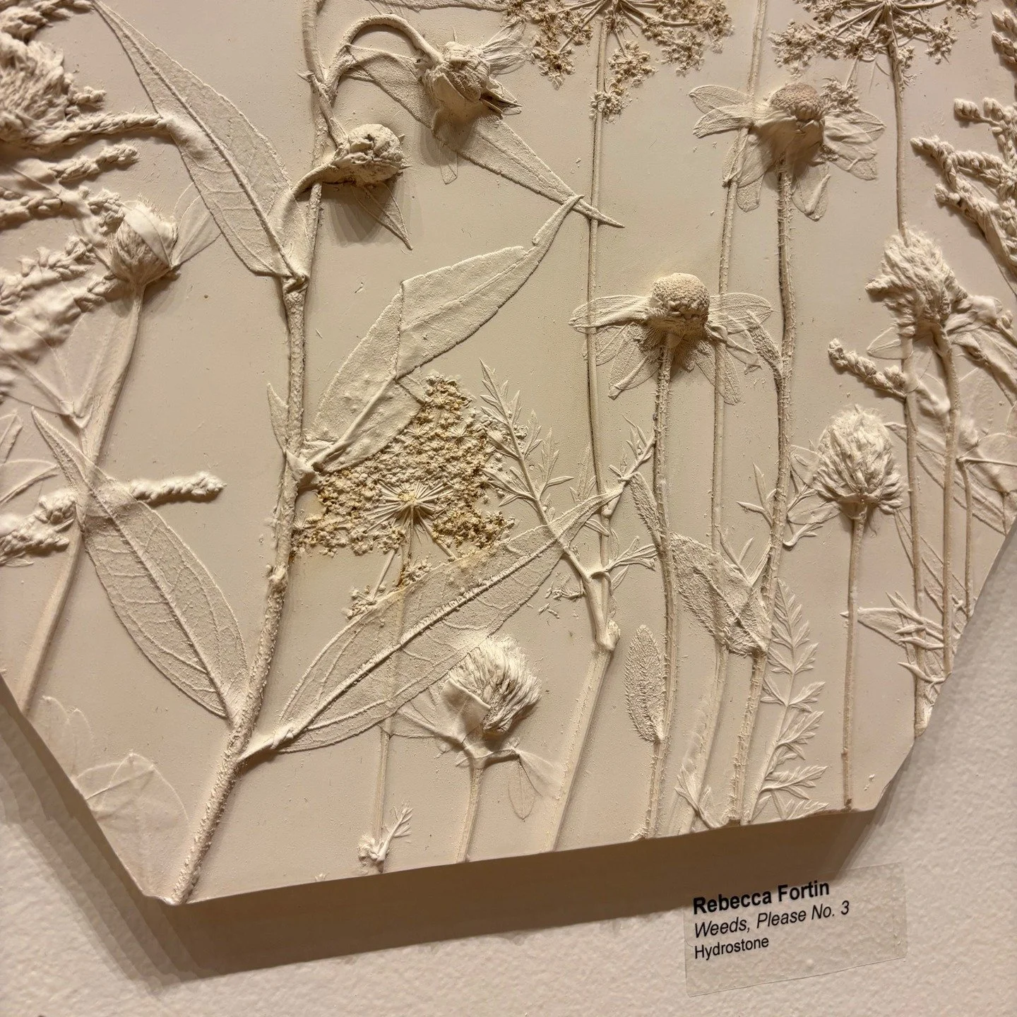 Feeling grateful today. 'Weeds, Please No. 3' had its moment on the walls of @StationGallery as part of Rare Form, and seeing it there&mdash;surrounded by so many incredible works&mdash;was such an honour.

A heartfelt thank-you to Station Gallery fo